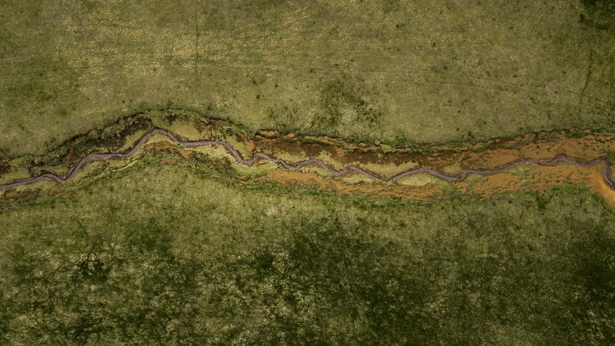 DJI_20260607130650_0665_D.jpg