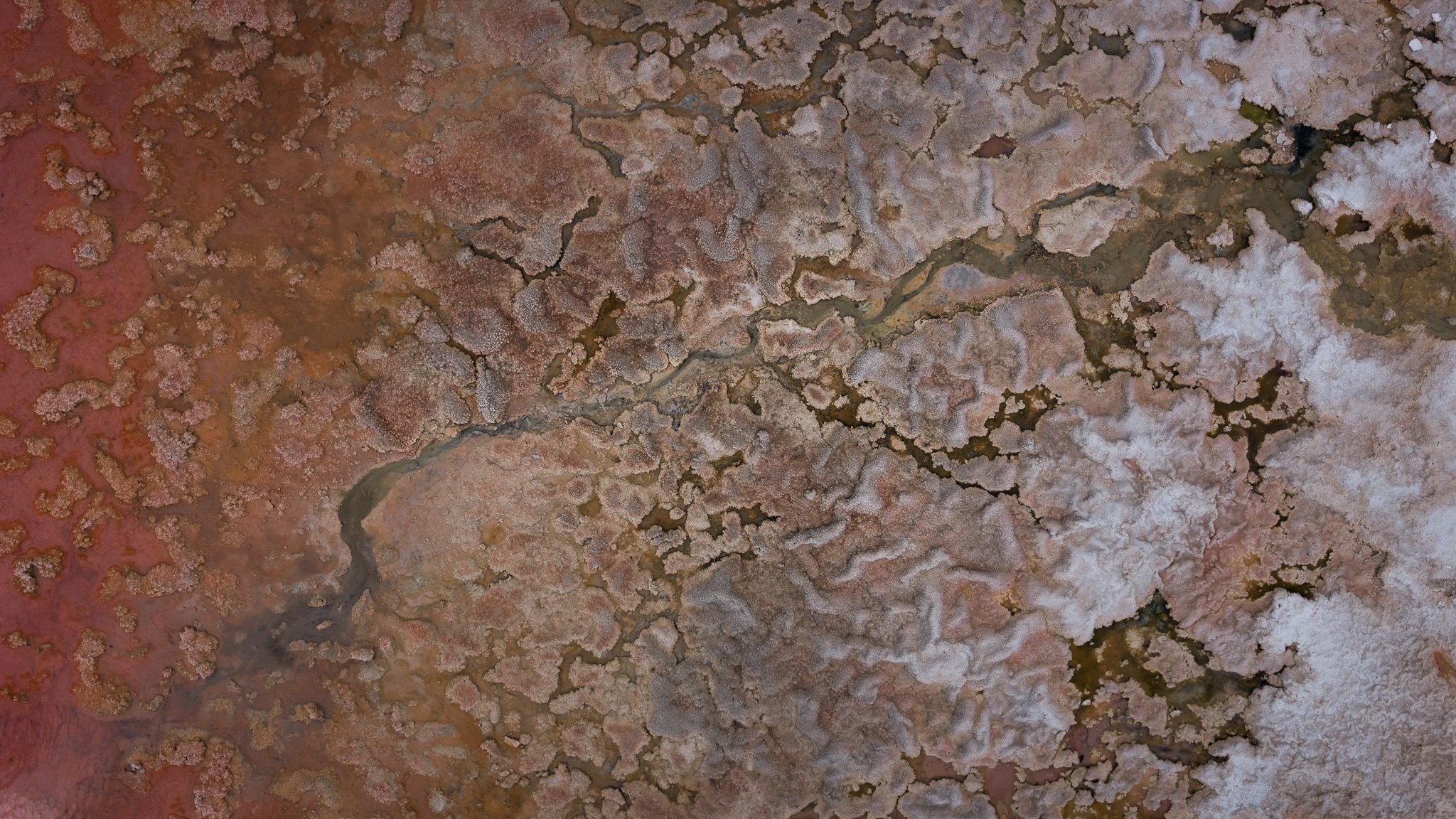 DJI_20260407055340_0578_D.jpg