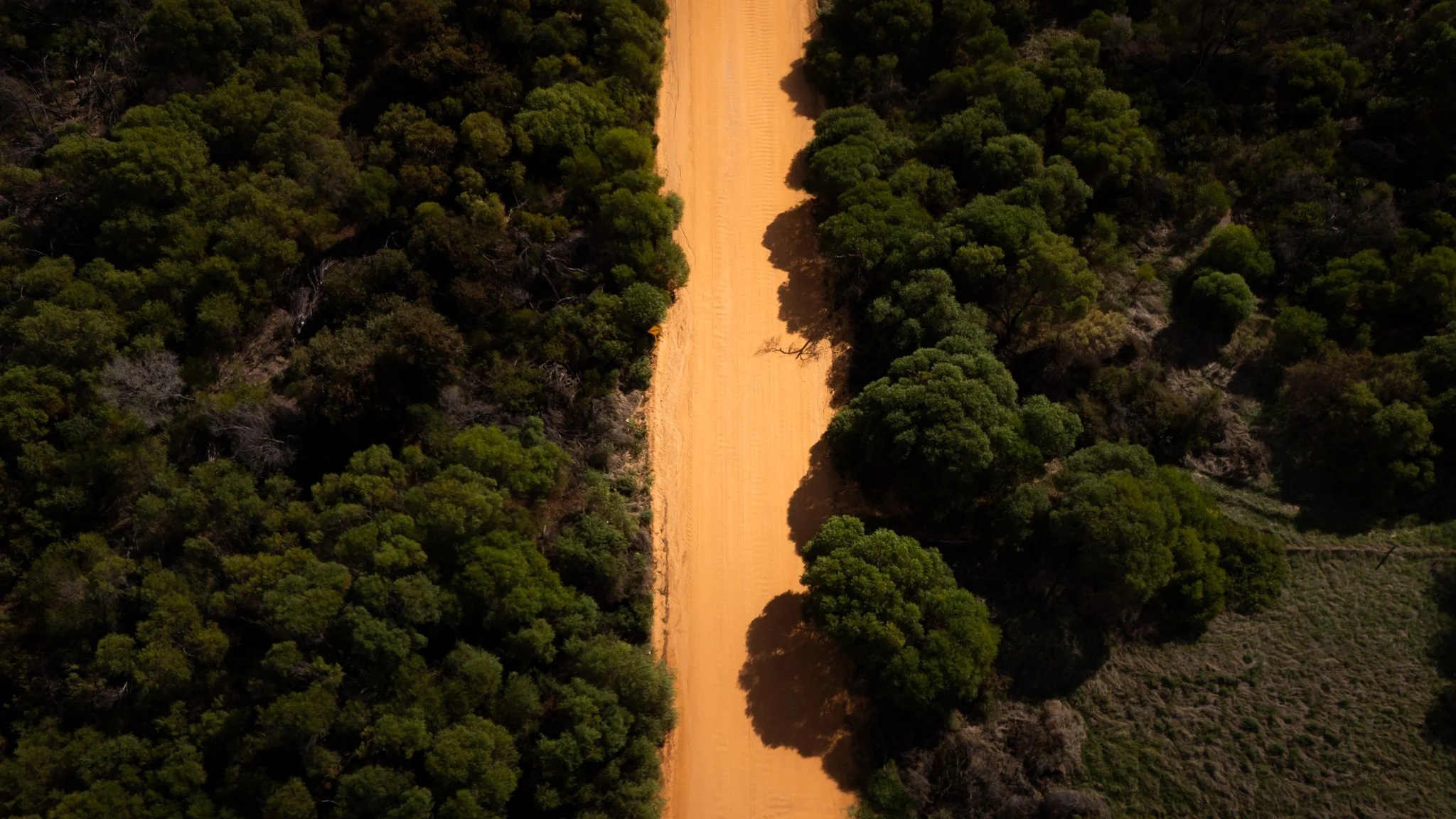 DJI_20260414085557_0365_D.jpg