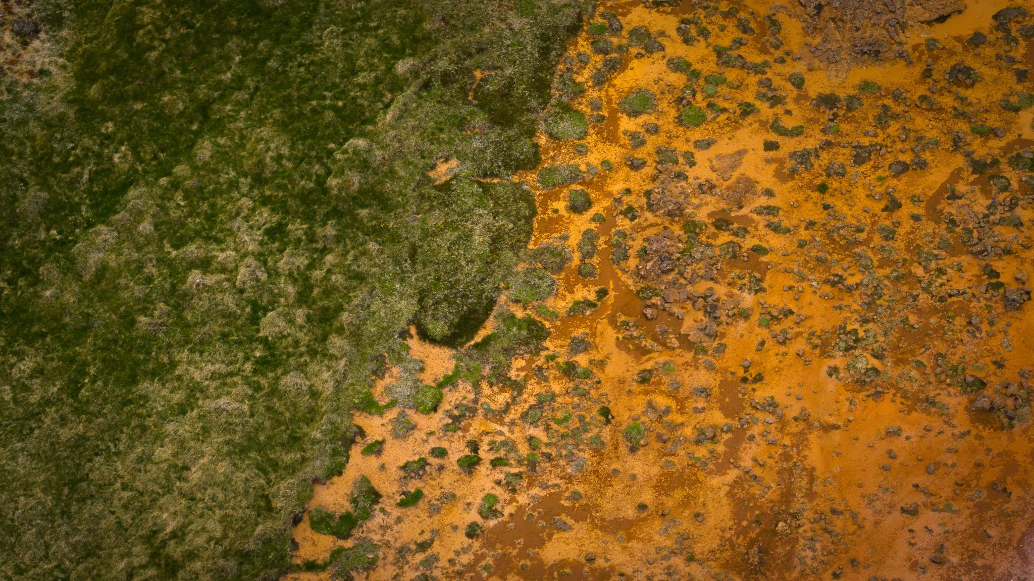 DJI_20260607131341_0733_D.jpg