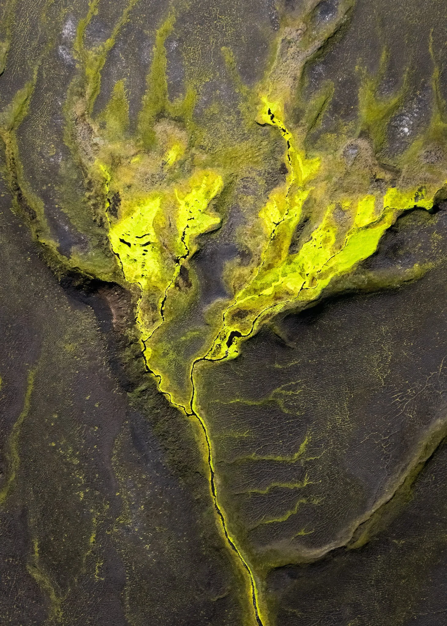 DJI_20240816130009_0586_D-Enhanced-NR.jpg