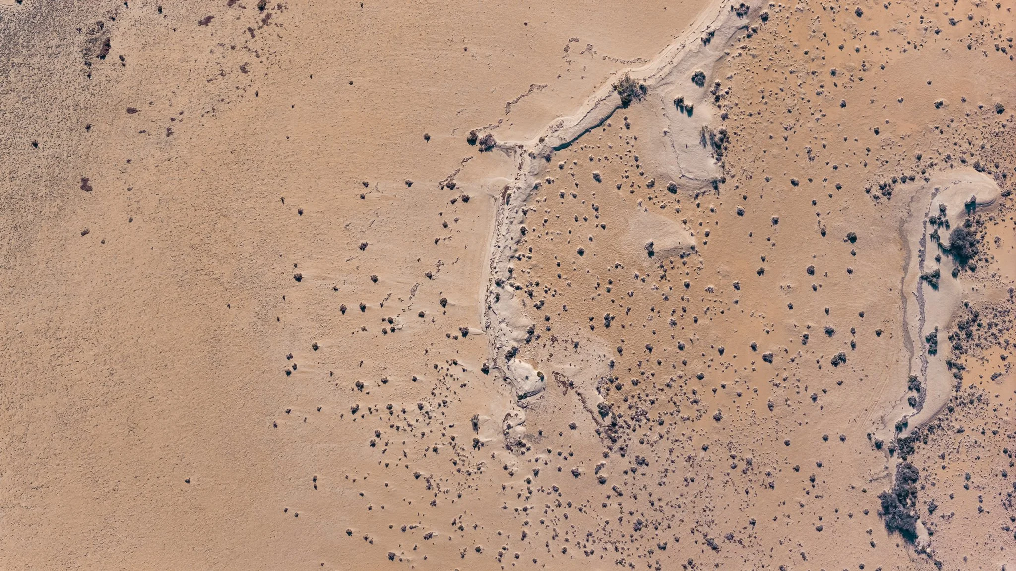DJI_20260413022017_0972_D.jpg