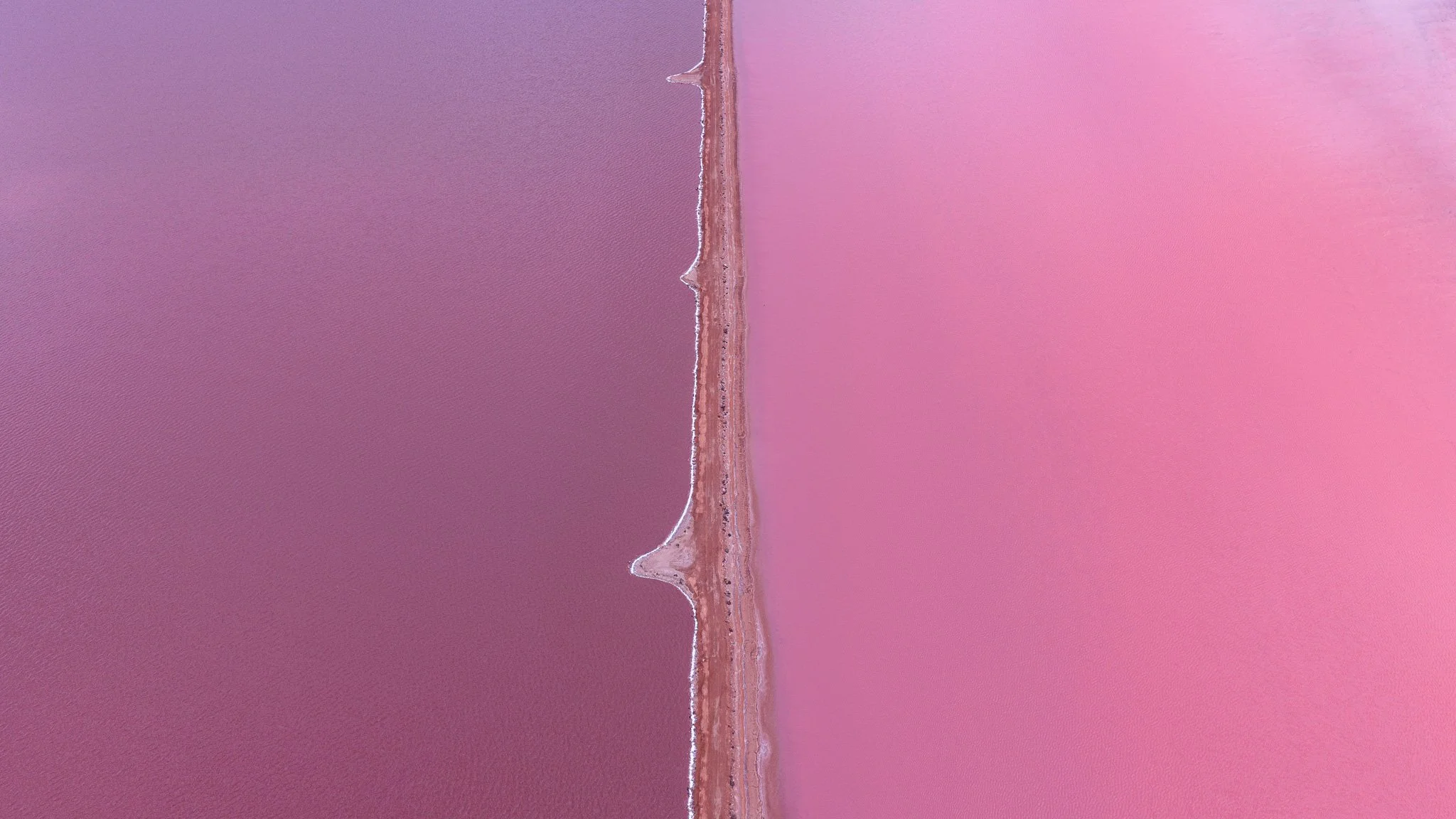 DJI_20260407082749_0783_D.jpg