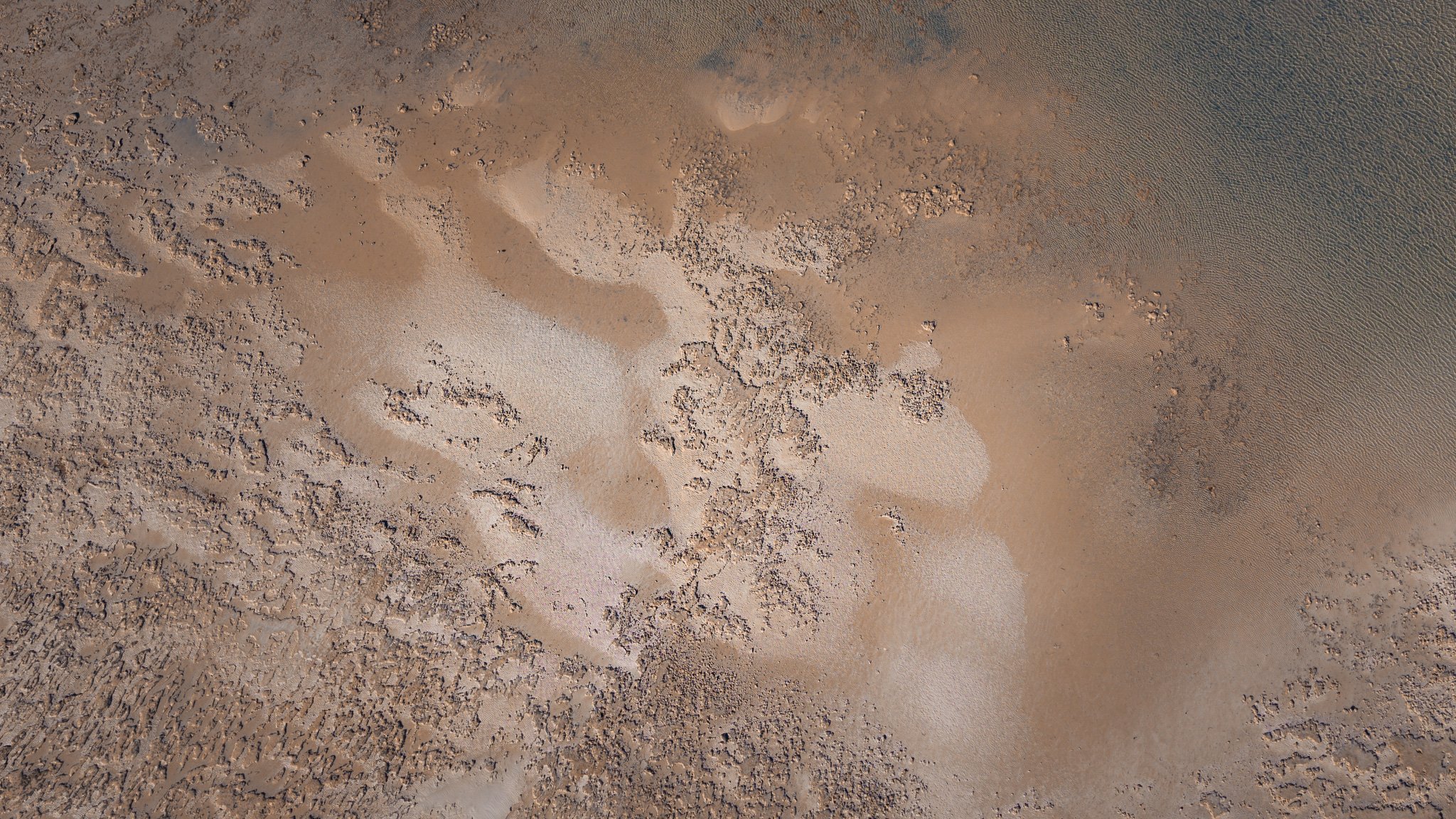 DJI_20260413023120_0004_D.jpg