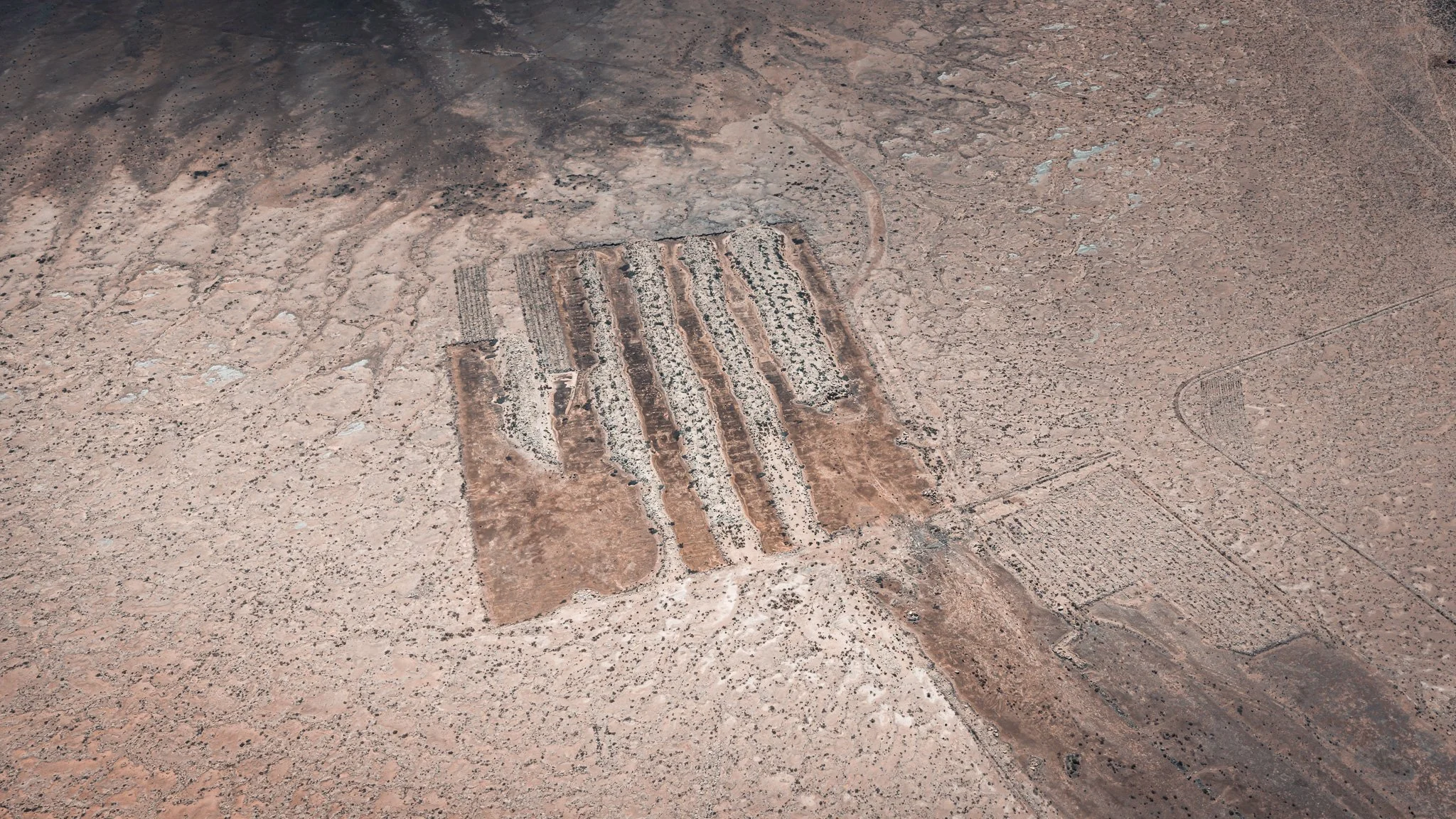 DJI_20260410055604_0085_D.jpg