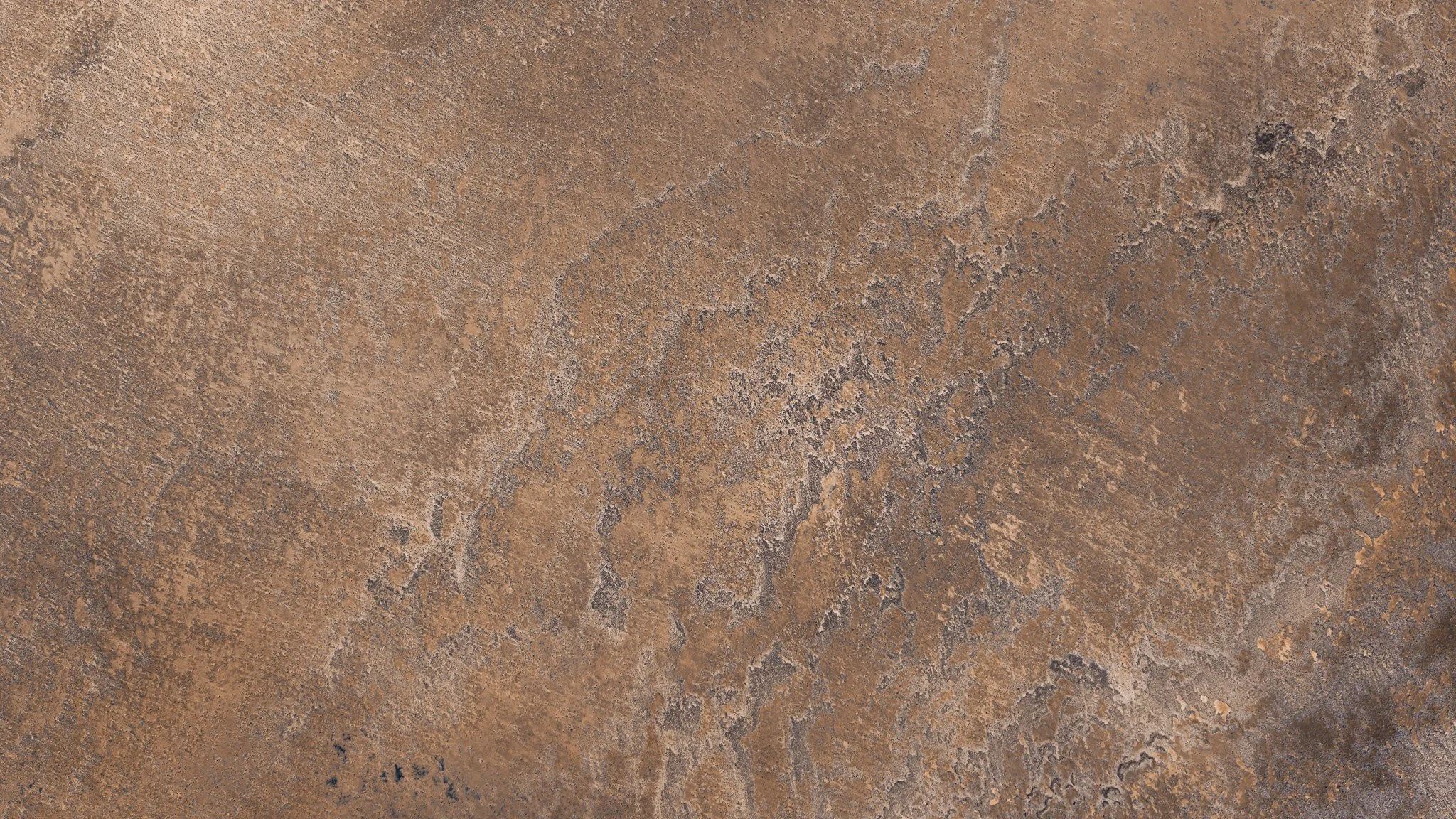 DJI_20260413024038_0026_D.jpg