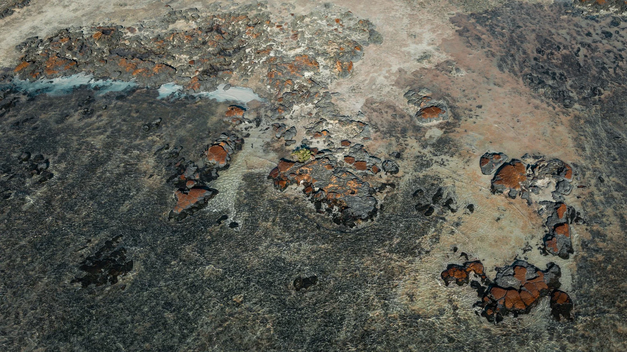DJI_20260412100744_0890_D.jpg