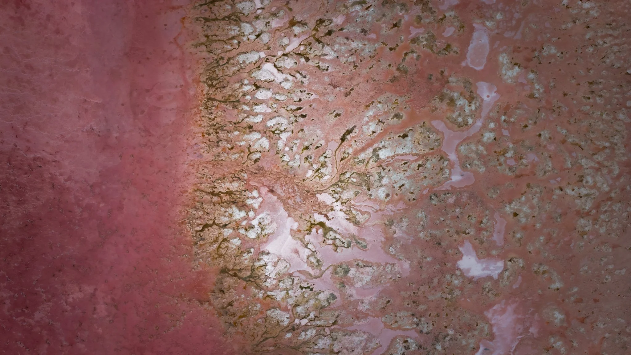 DJI_20260407074157_0691_D.jpg