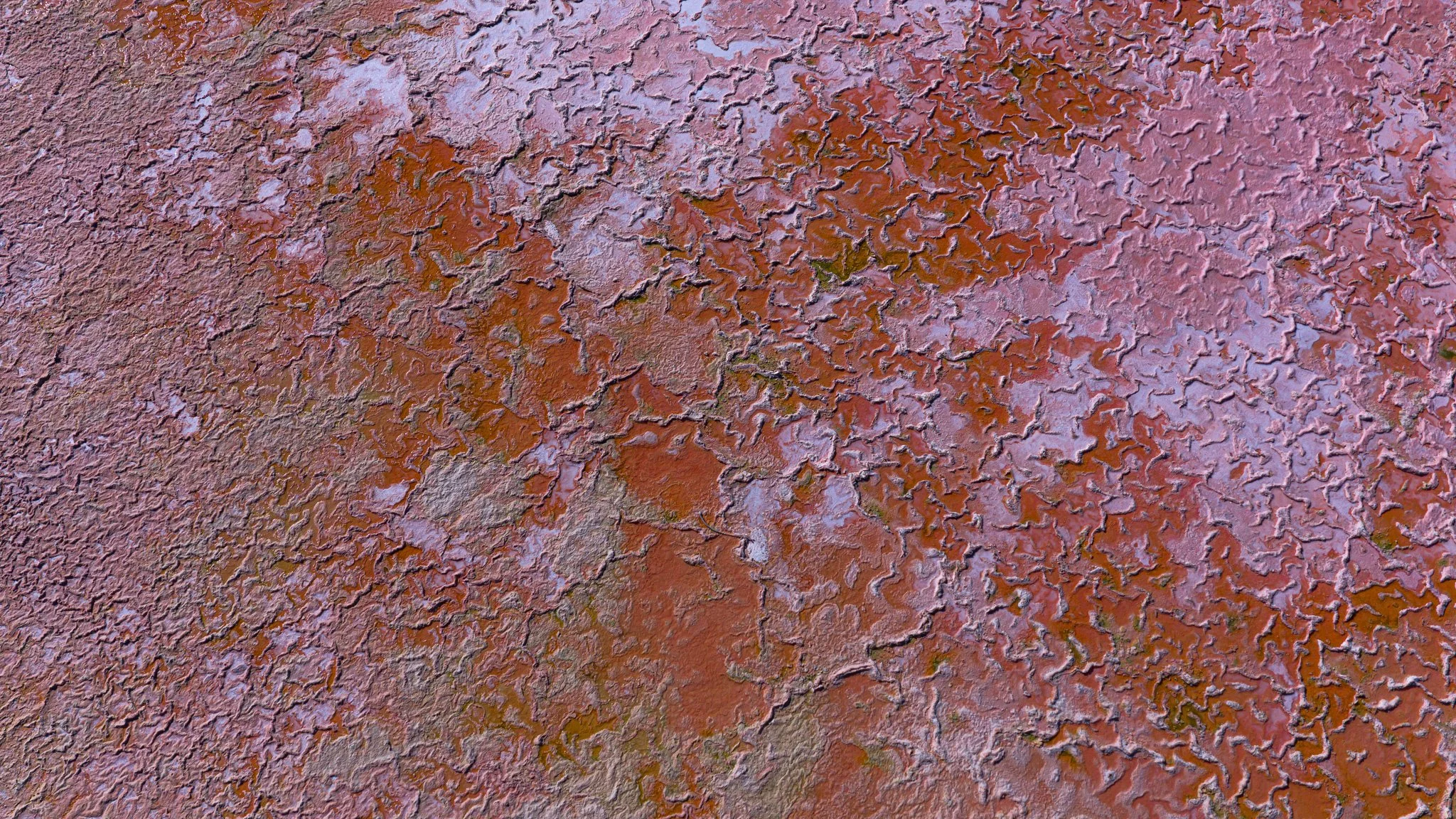 DJI_20260415084412_0132_D.jpg