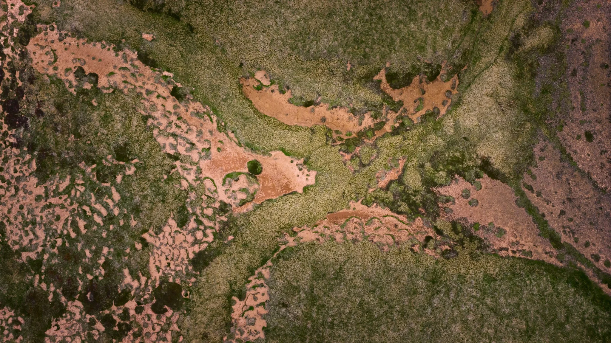 DJI_20260607130912_0686_D.jpg