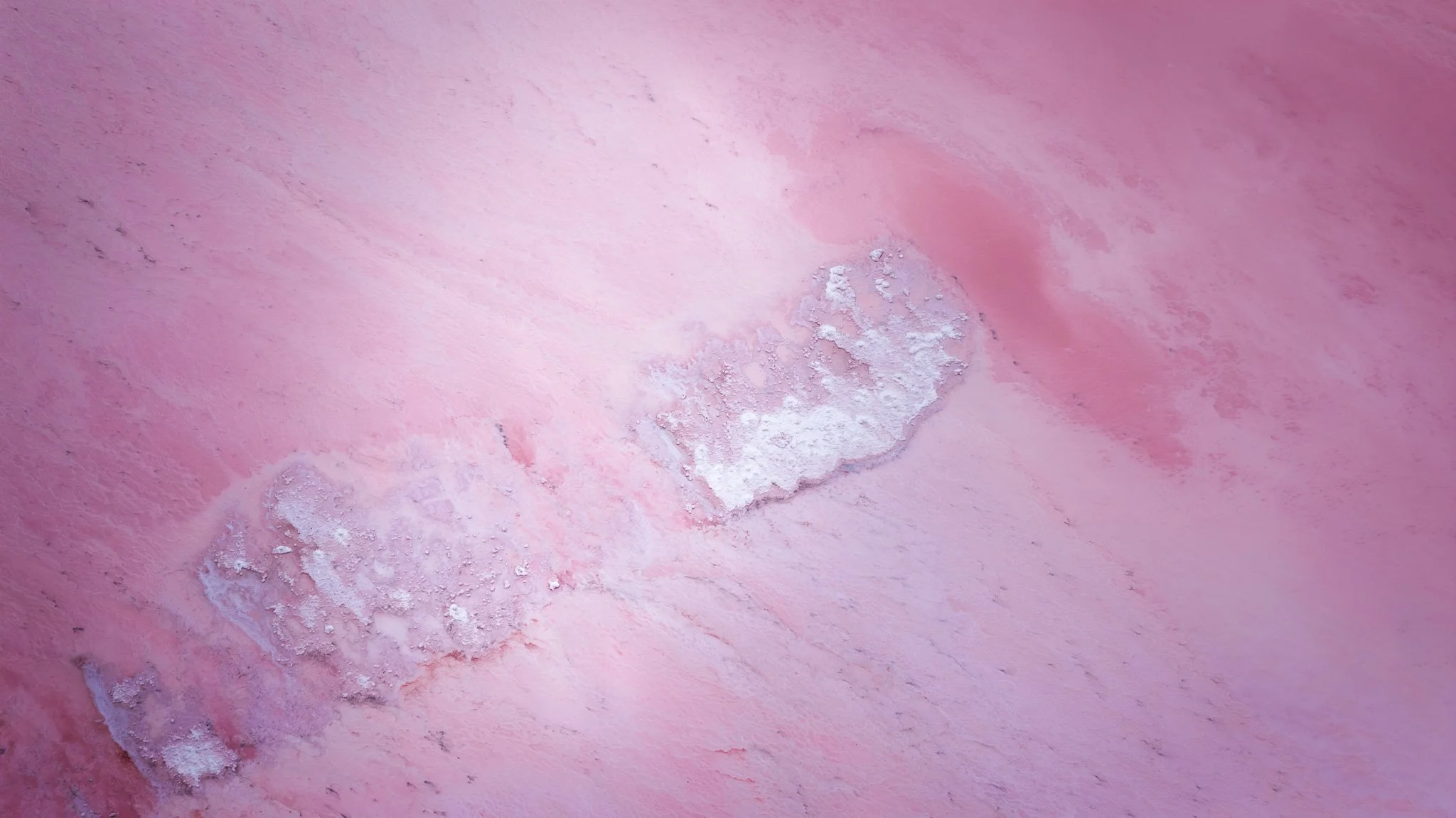 DJI_20260407073135_0632_D.jpg
