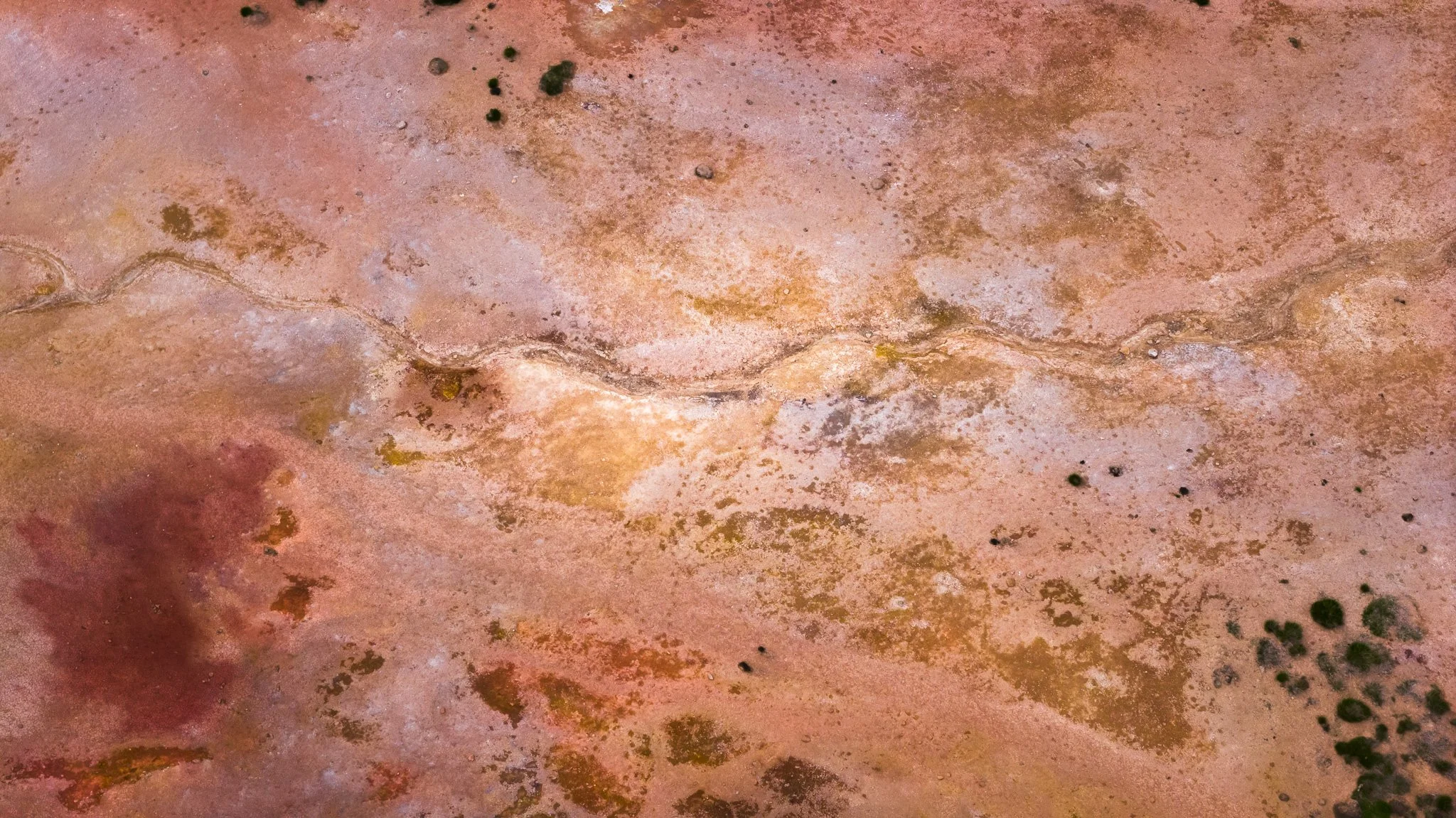 DJI_20260607122848_0497_D.jpg