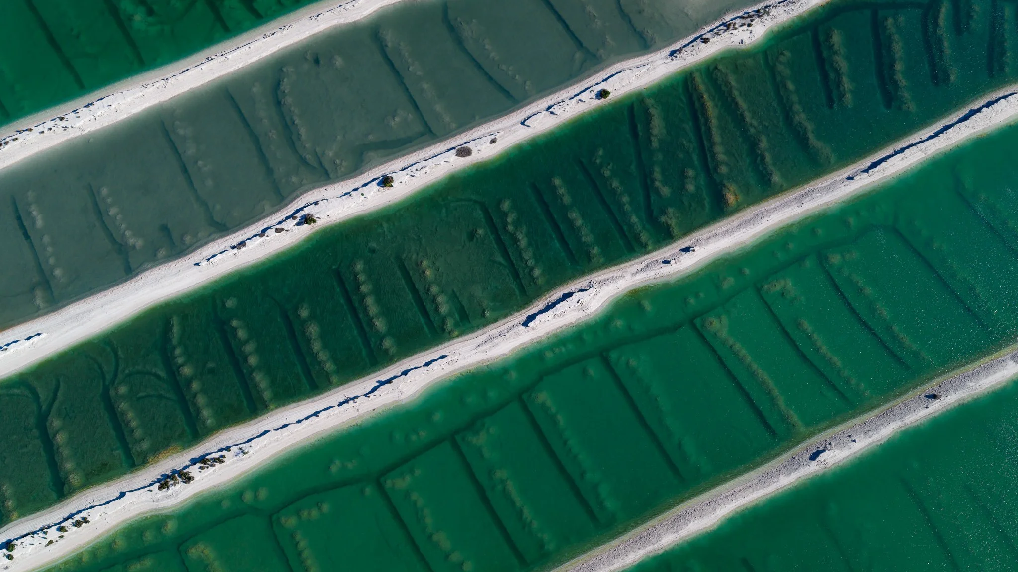 DJI_20260416093724_0681_D.jpg