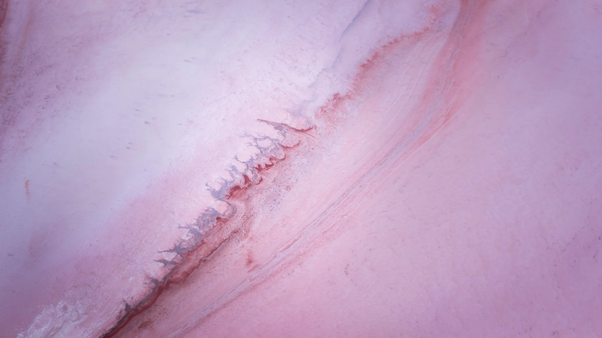 DJI_20260407073502_0660_D.jpg