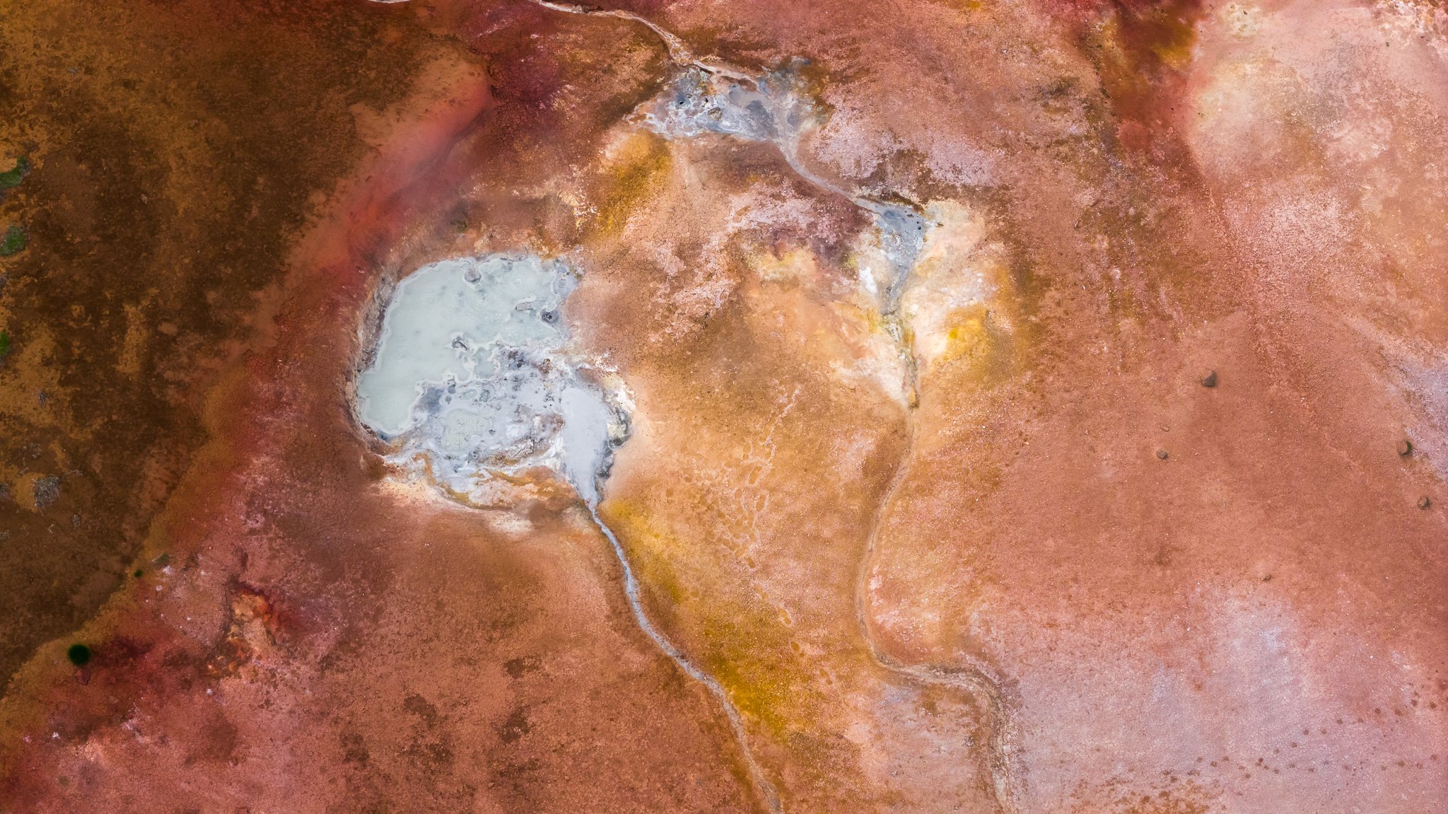 DJI_20260607122916_0501_D.jpg
