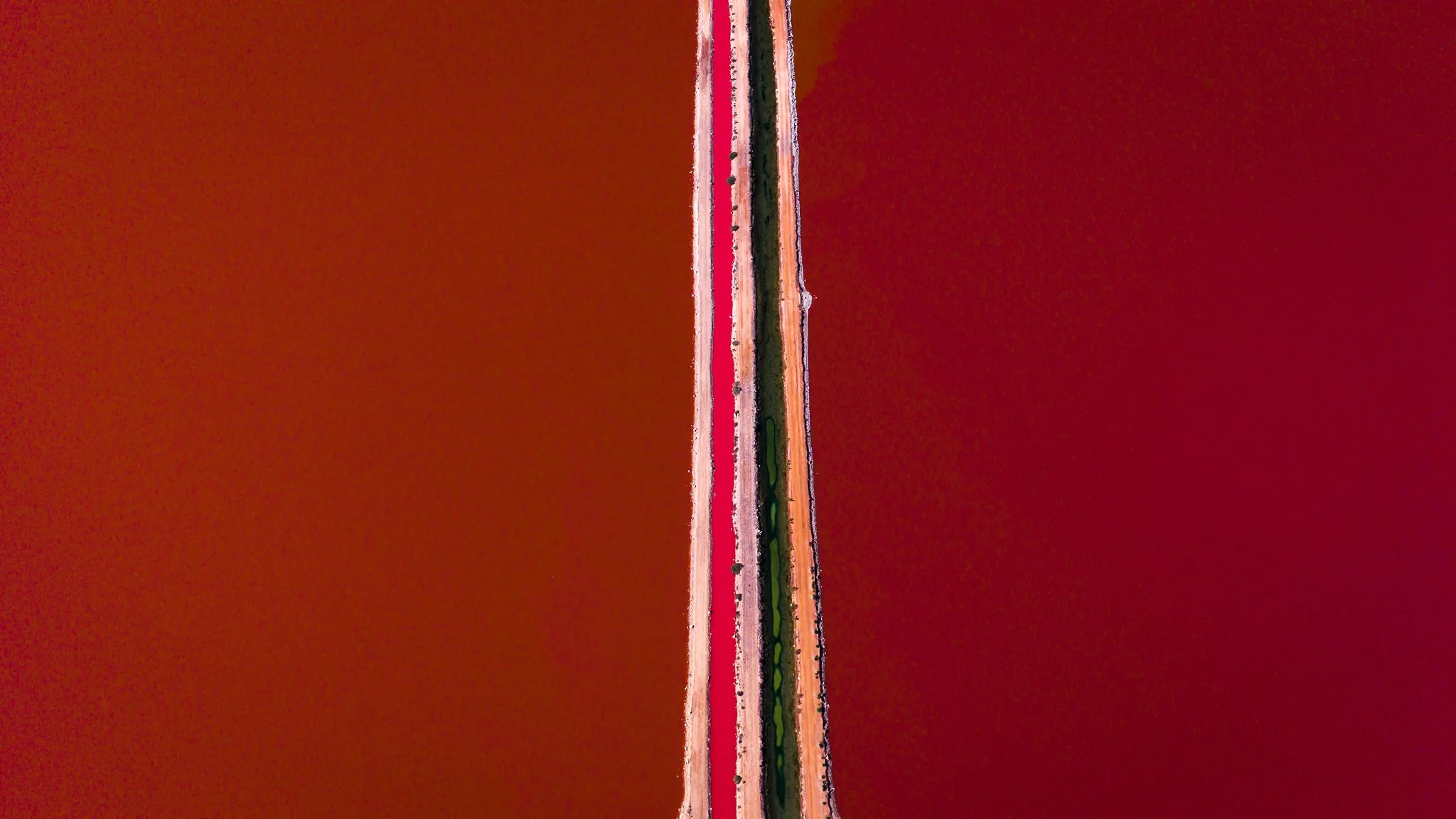 DJI_20260415090047_0499_D.jpg