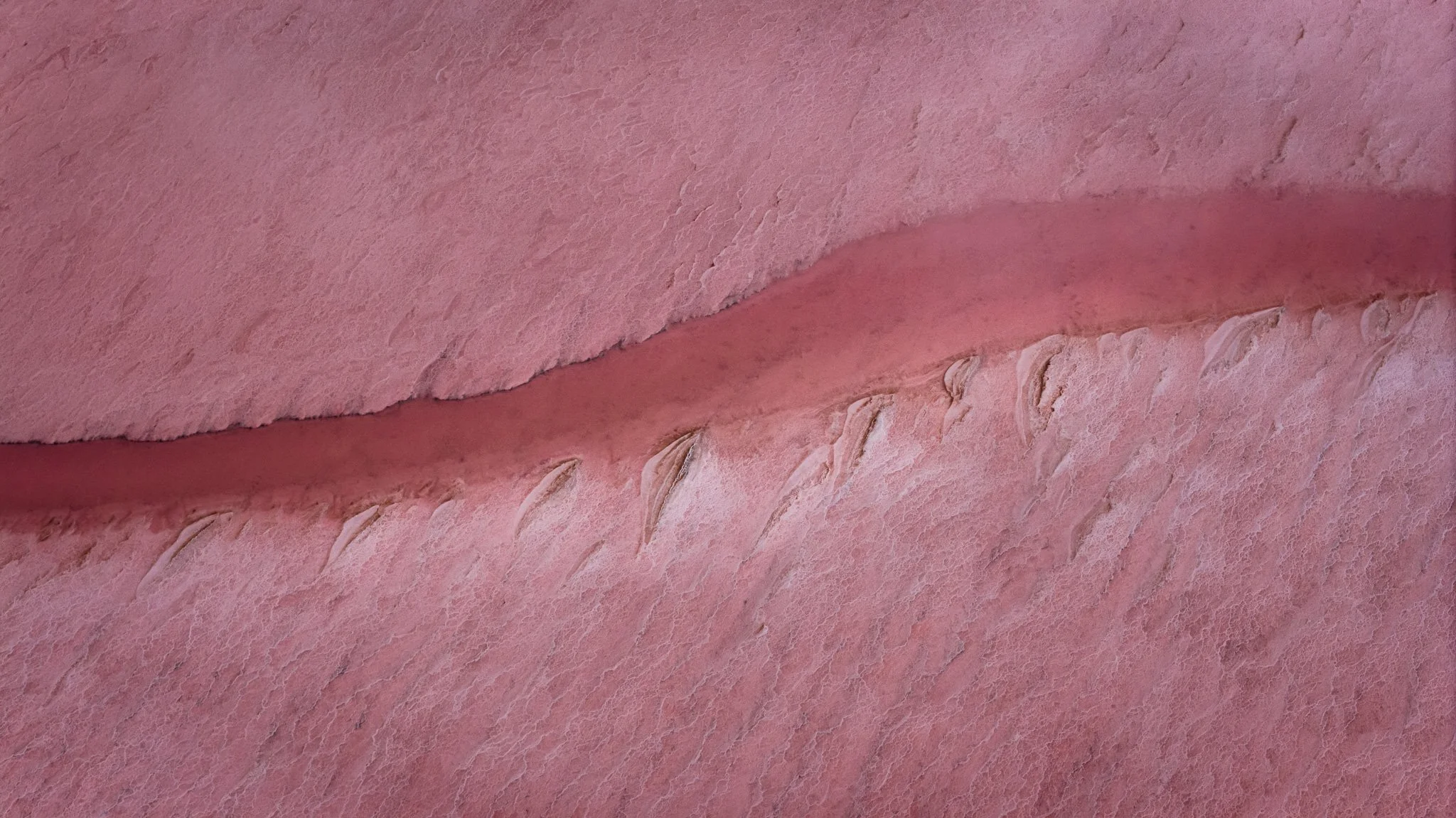 DJI_20260407083155_0801_D.jpg