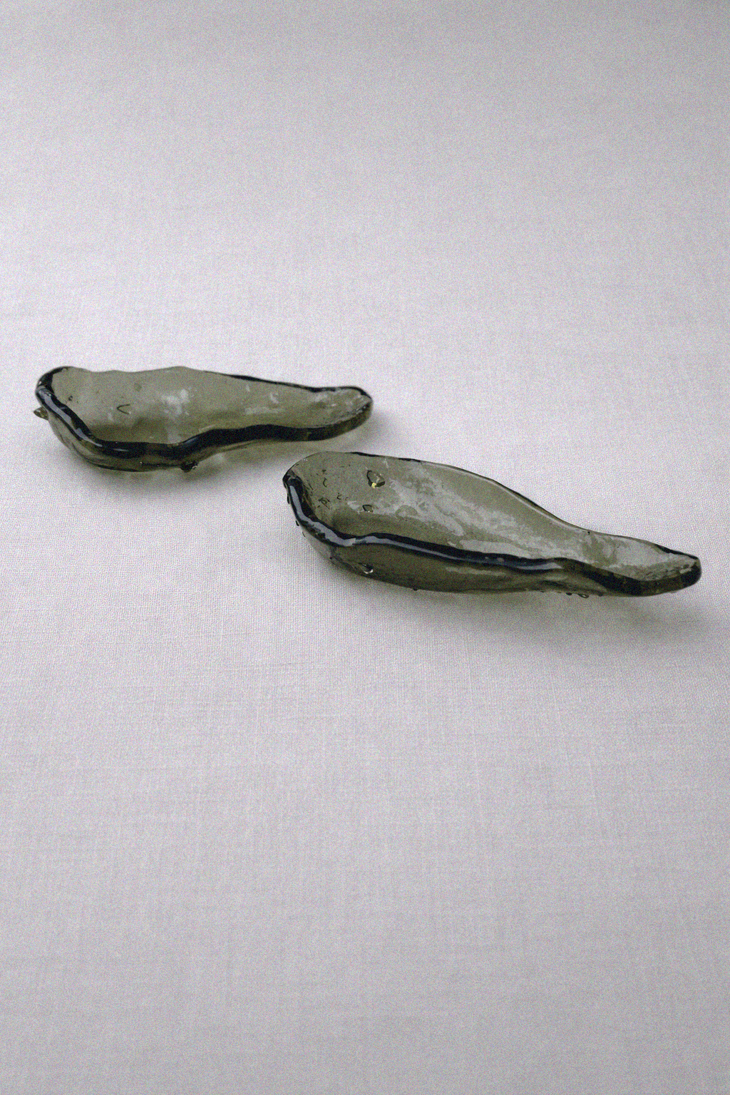 OSTRICHETTE  (3).png