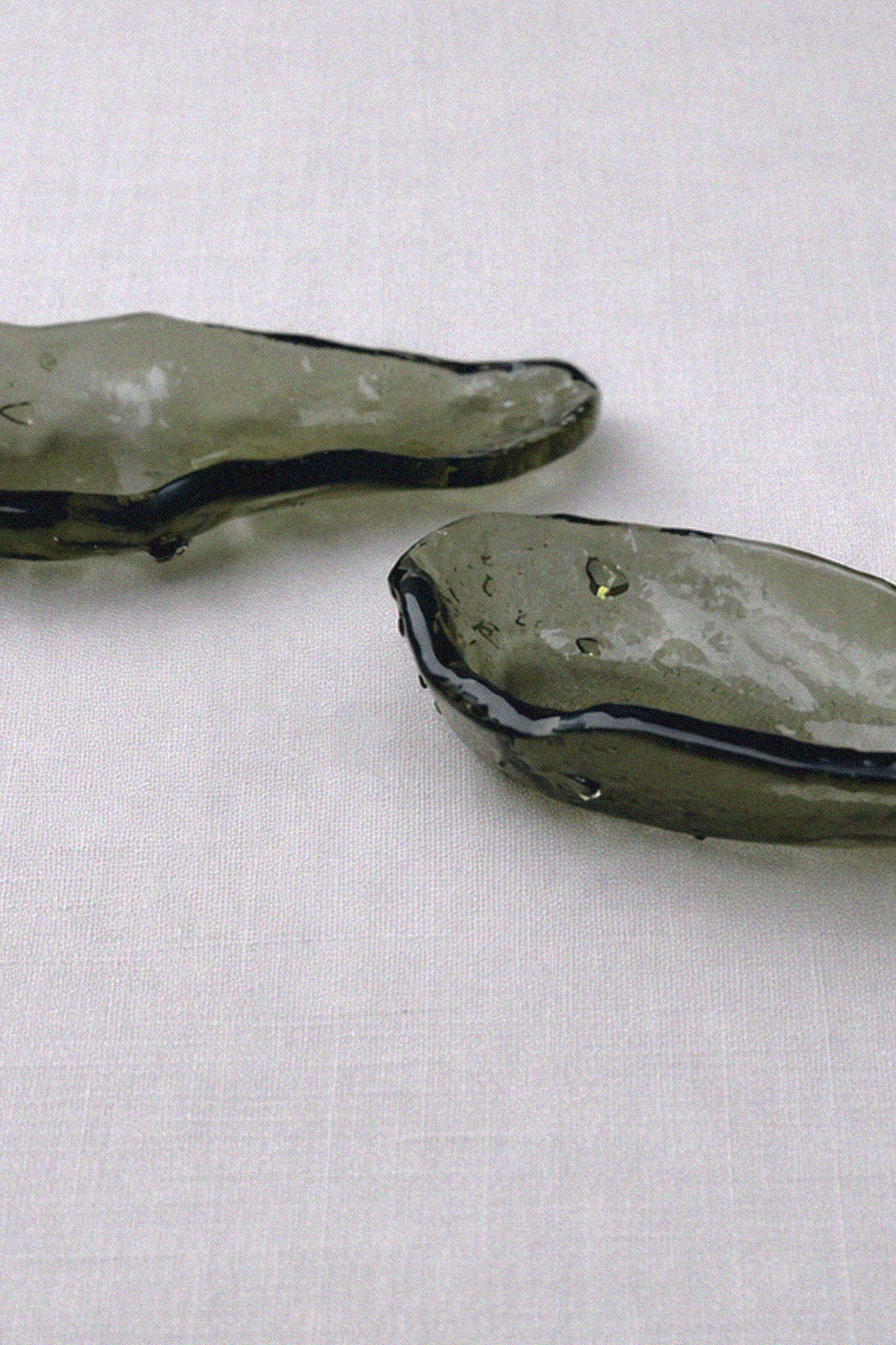 OSTRICHETTE  (4).png