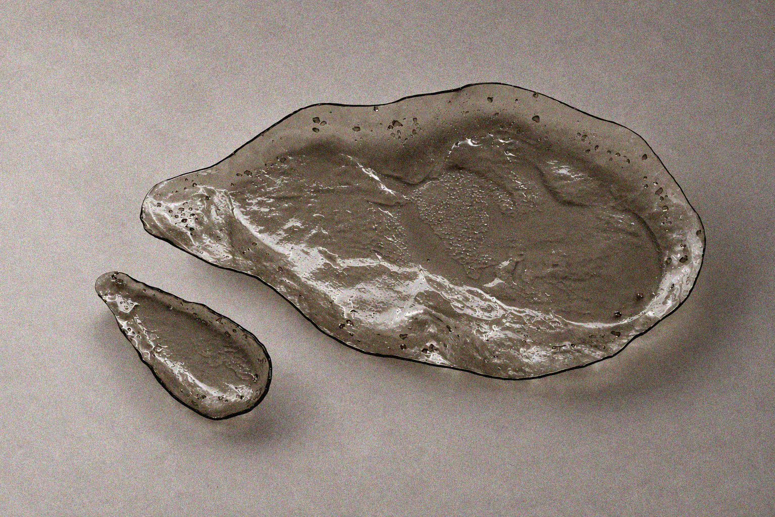 ostrica 1.png