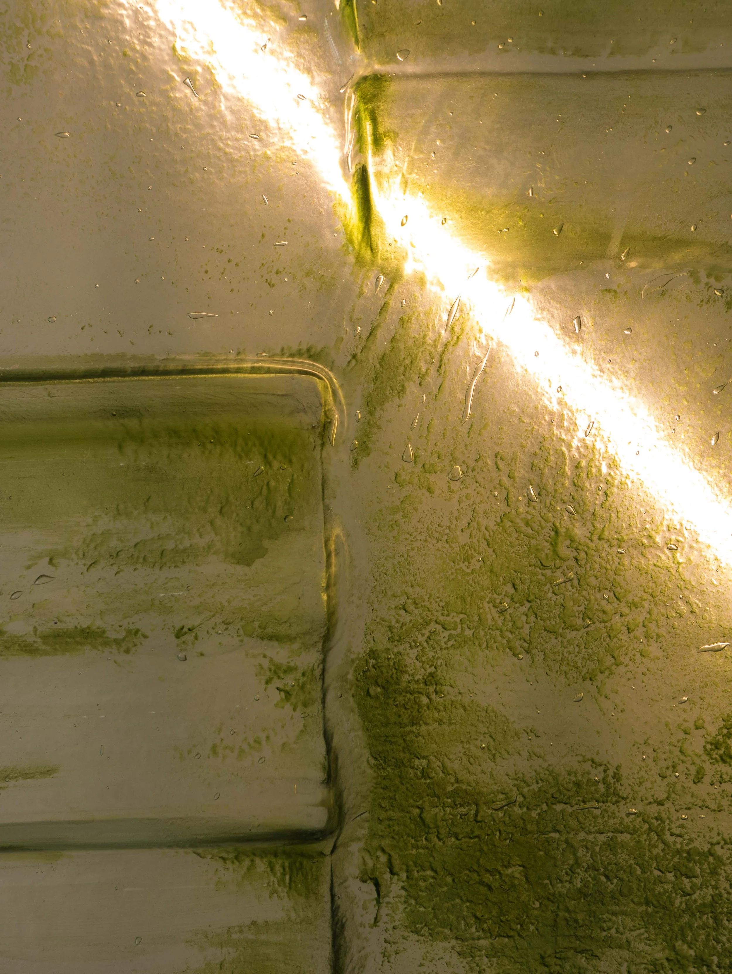Immagine di una superficie metallica con macchie di ruggine e gocce d'acqua, riflesso di luce. Colori prevalentemente verdi e dorati.
