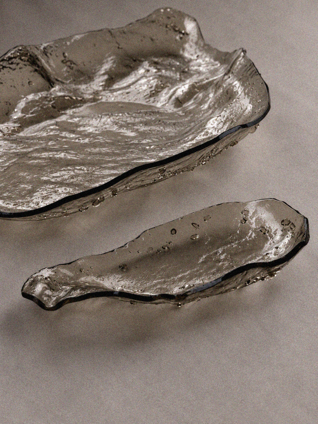 ostrica 2.png