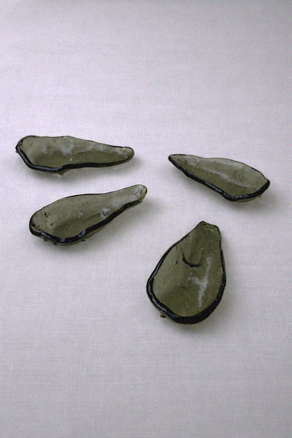 OSTRICHETTE  (1).png