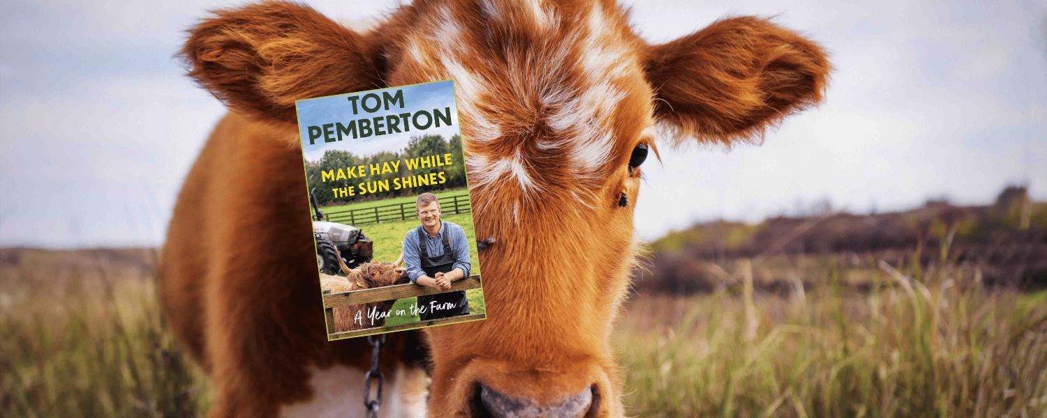 Make Hay While the Sun Shines by Tom Pemberton
