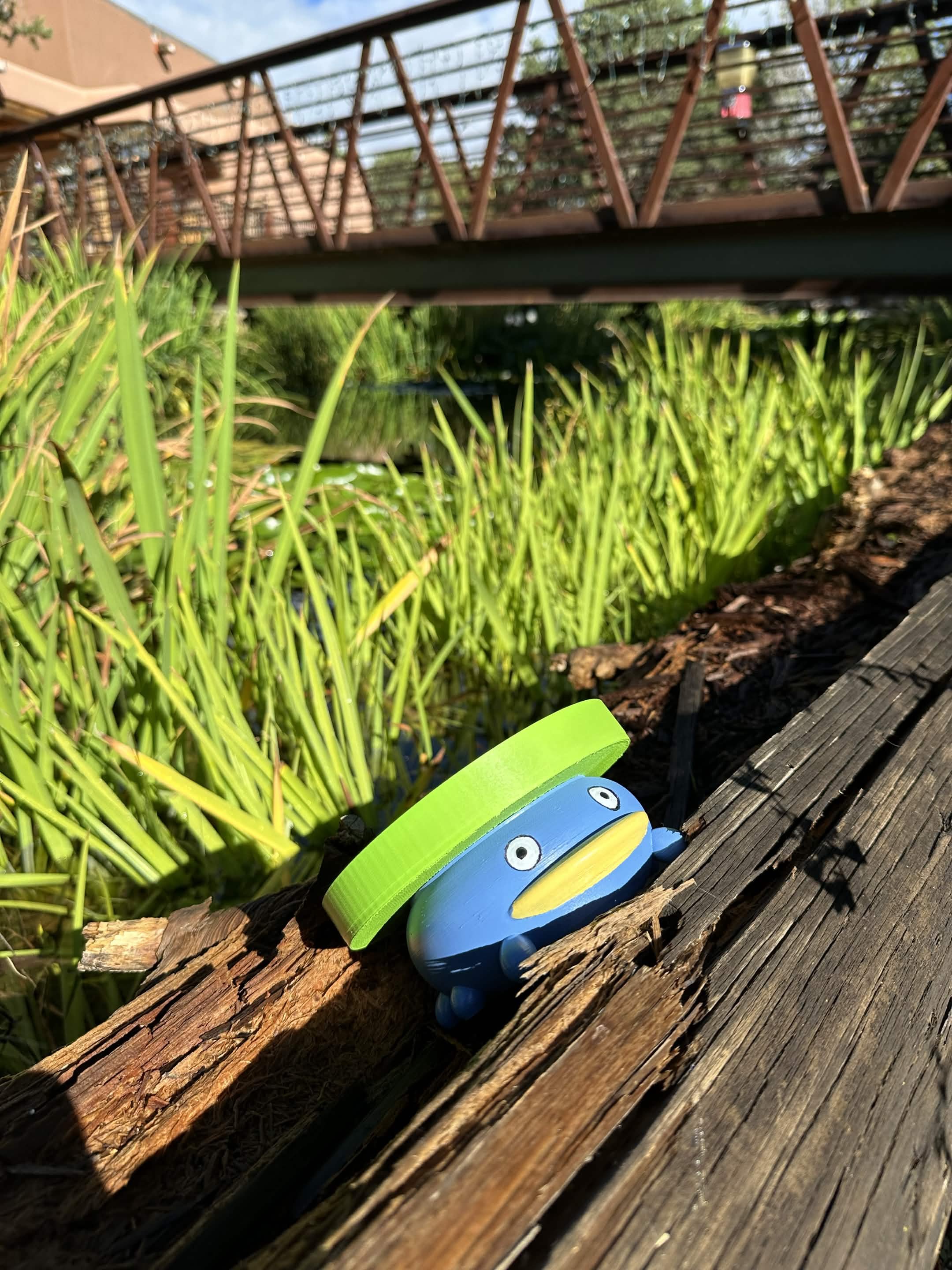 lotad6.jpg