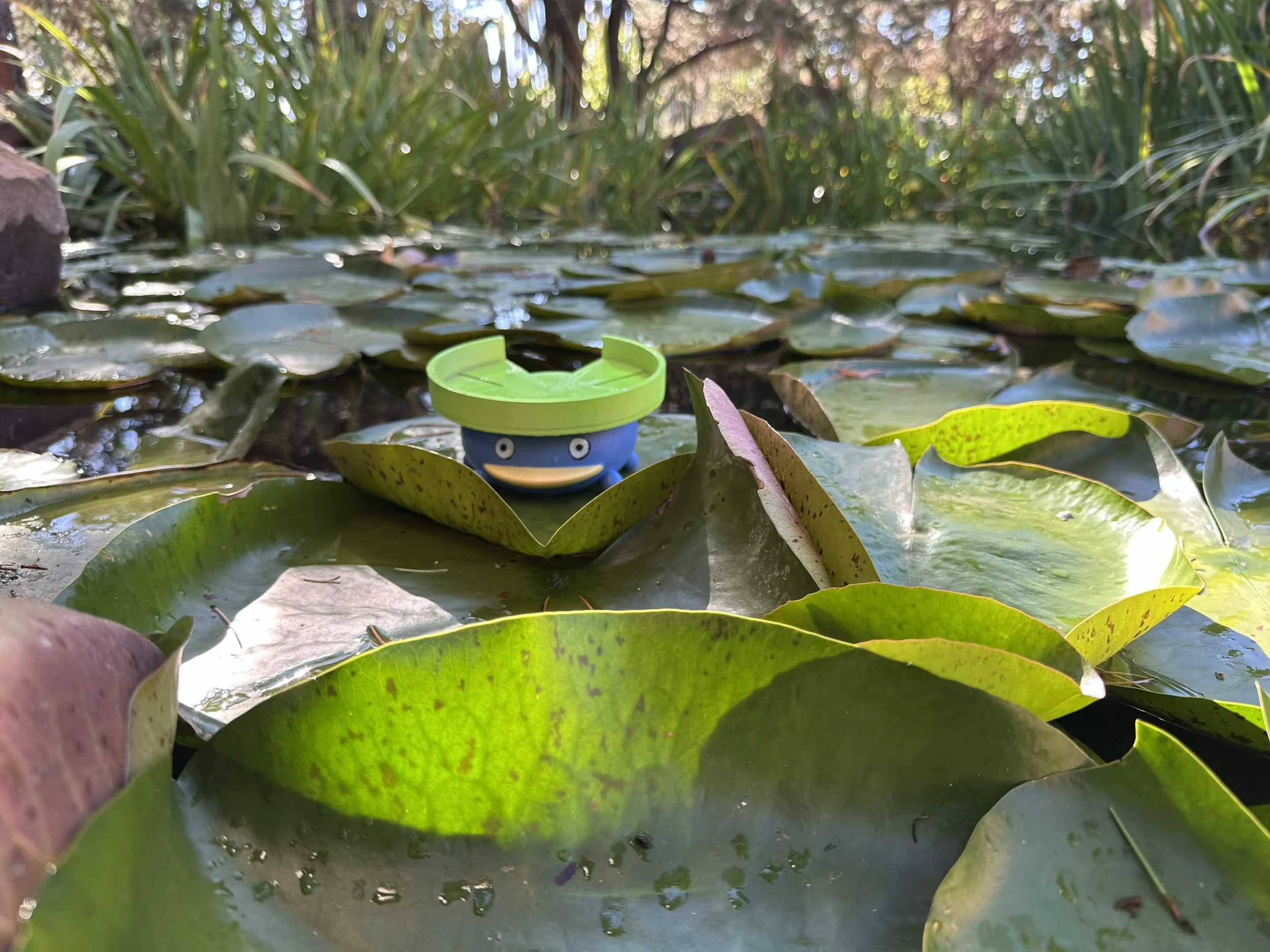 Lilypad Bowl