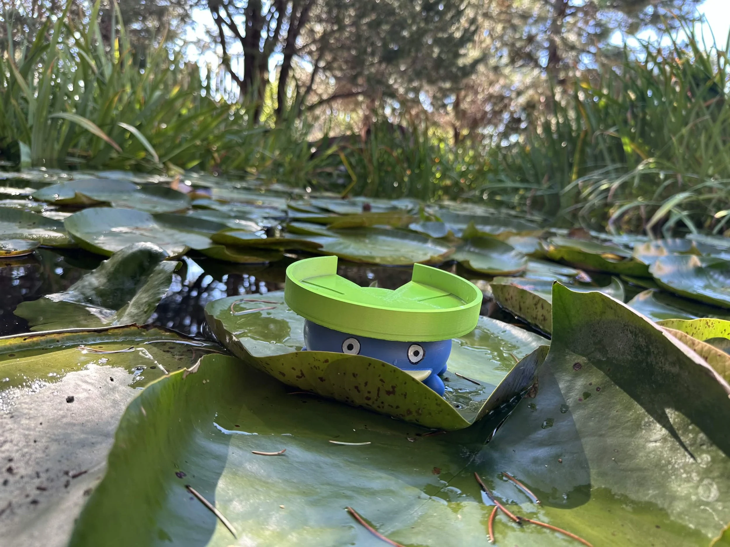 lotad4.jpg