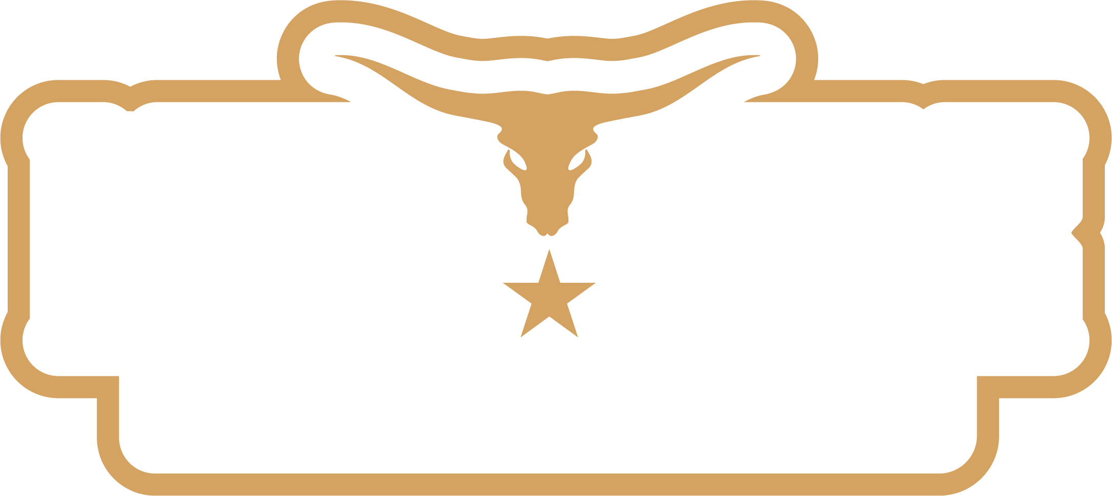 Lone-Star-Race-Series-Logo.png