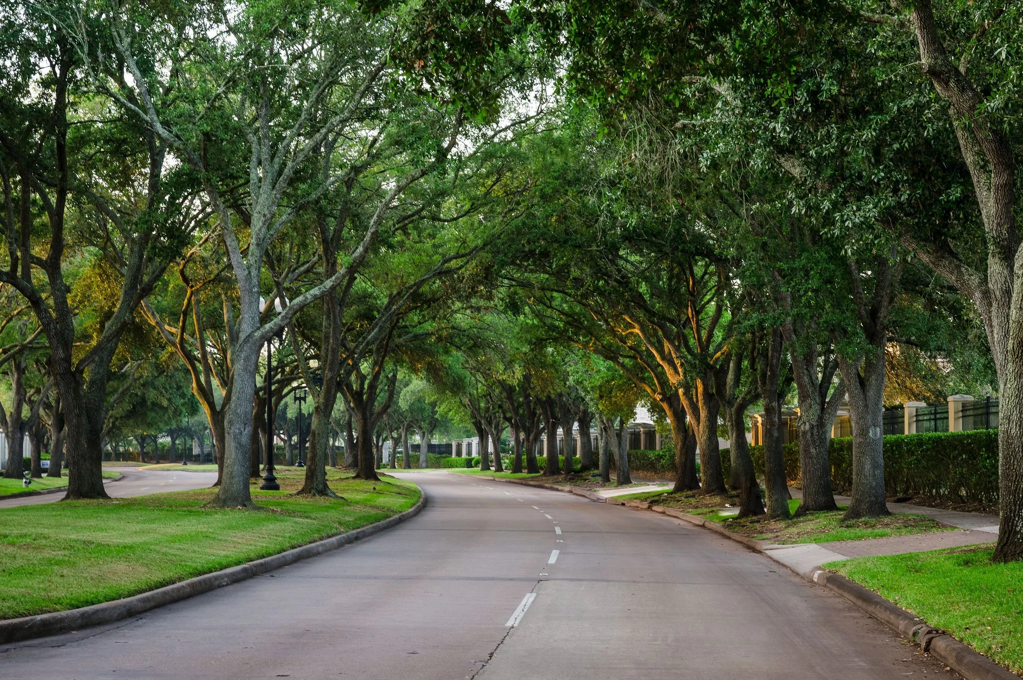 Tree-lined Sugar Land race course in the early morning