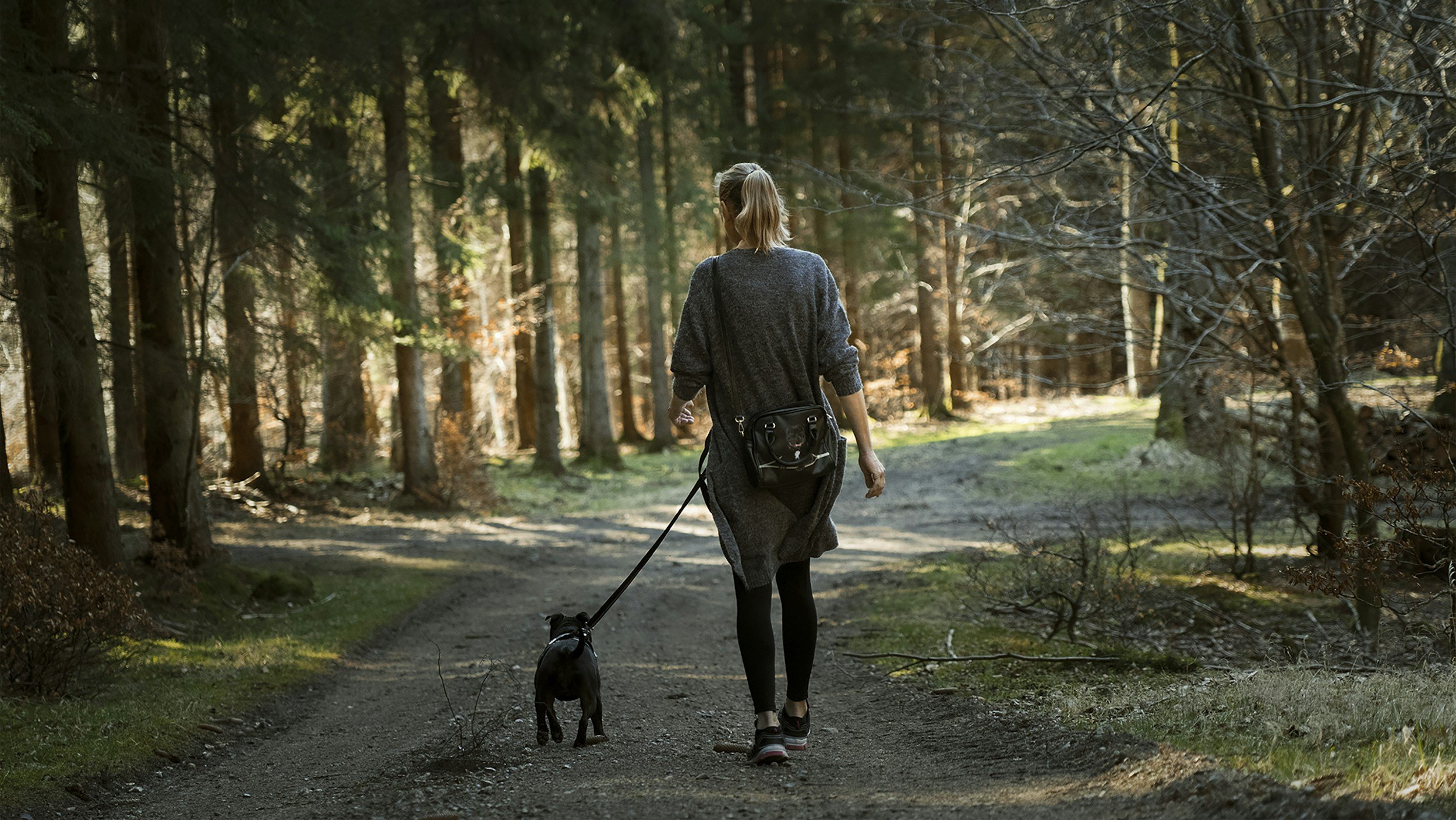 A woman walking her dog on a trail through a wooded area during daytime.