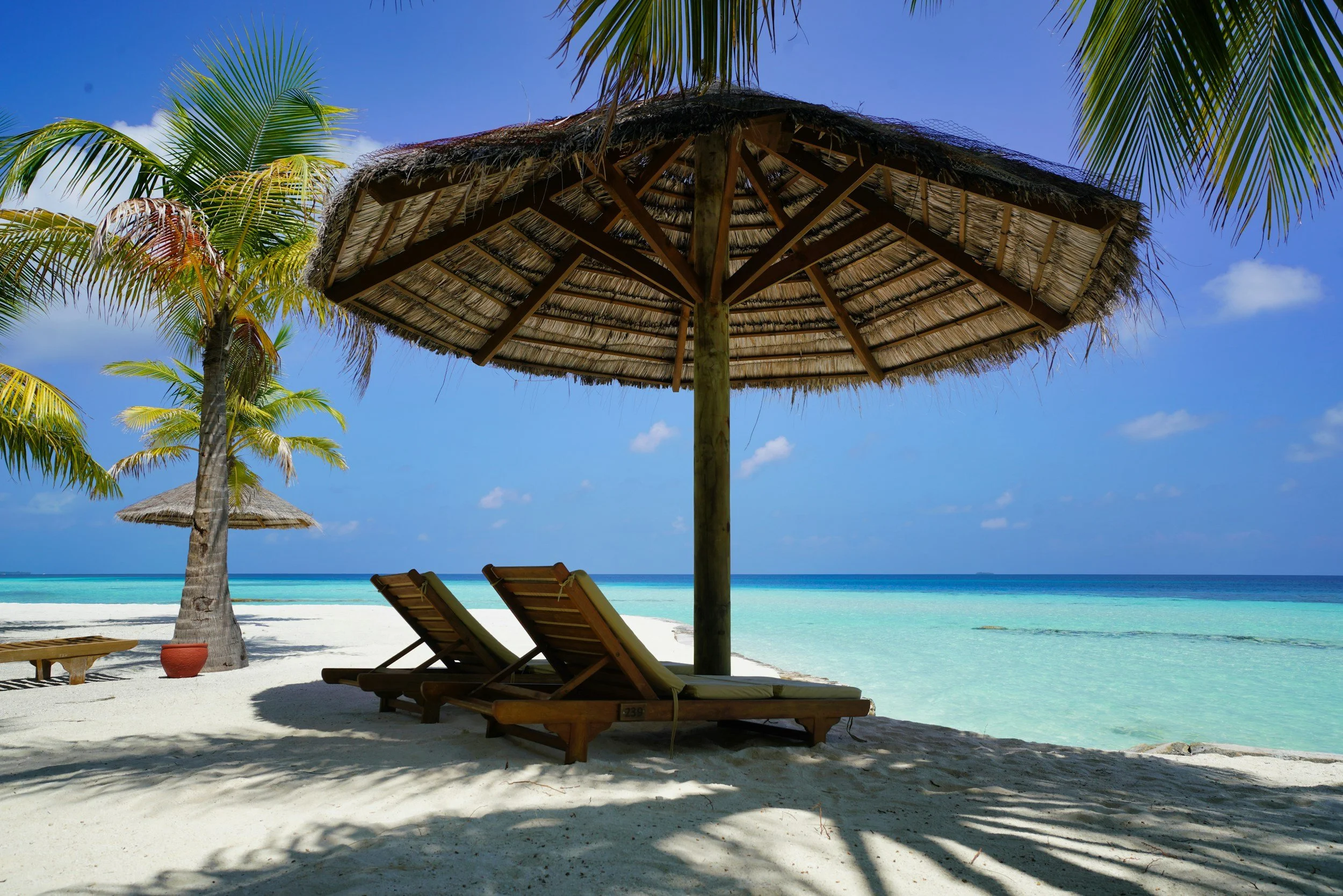 A tropical beach scene with white sand, turquoise water, and clear sky. There are palm trees with green fronds, a large thatched umbrella, two lounge chairs, and a small table with a potted plant.