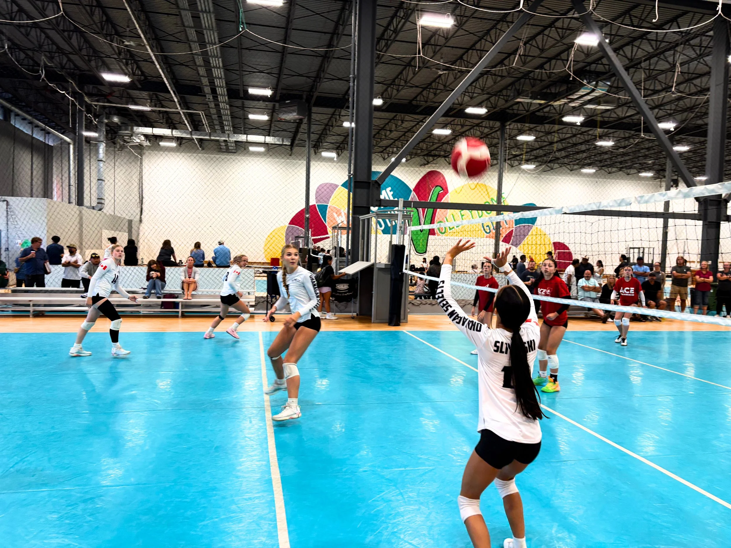 Indoor volleyball game with female players on a blue court. The players are in action, one is preparing to hit the ball over the net. There are spectators and a colorful mural in the background.
