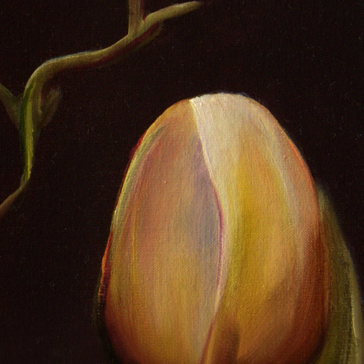 KamiMadArt_2026-013_Different-Kind-of-Bloom-4_CLOSEUP_flower-bud.jpg