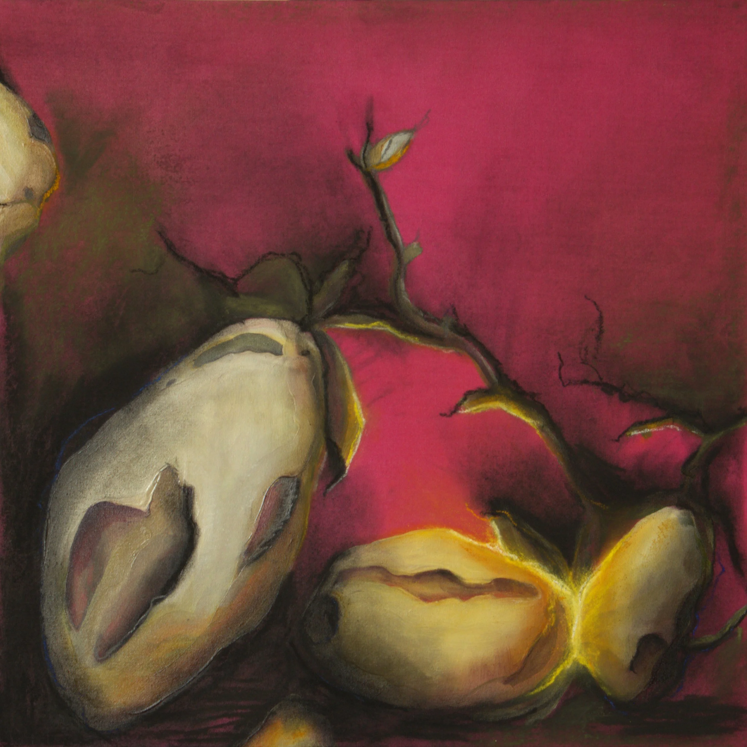 KamiMadArt_2026-002_Pink-3-Mangos-with-Glow_WEB_2500px.jpg