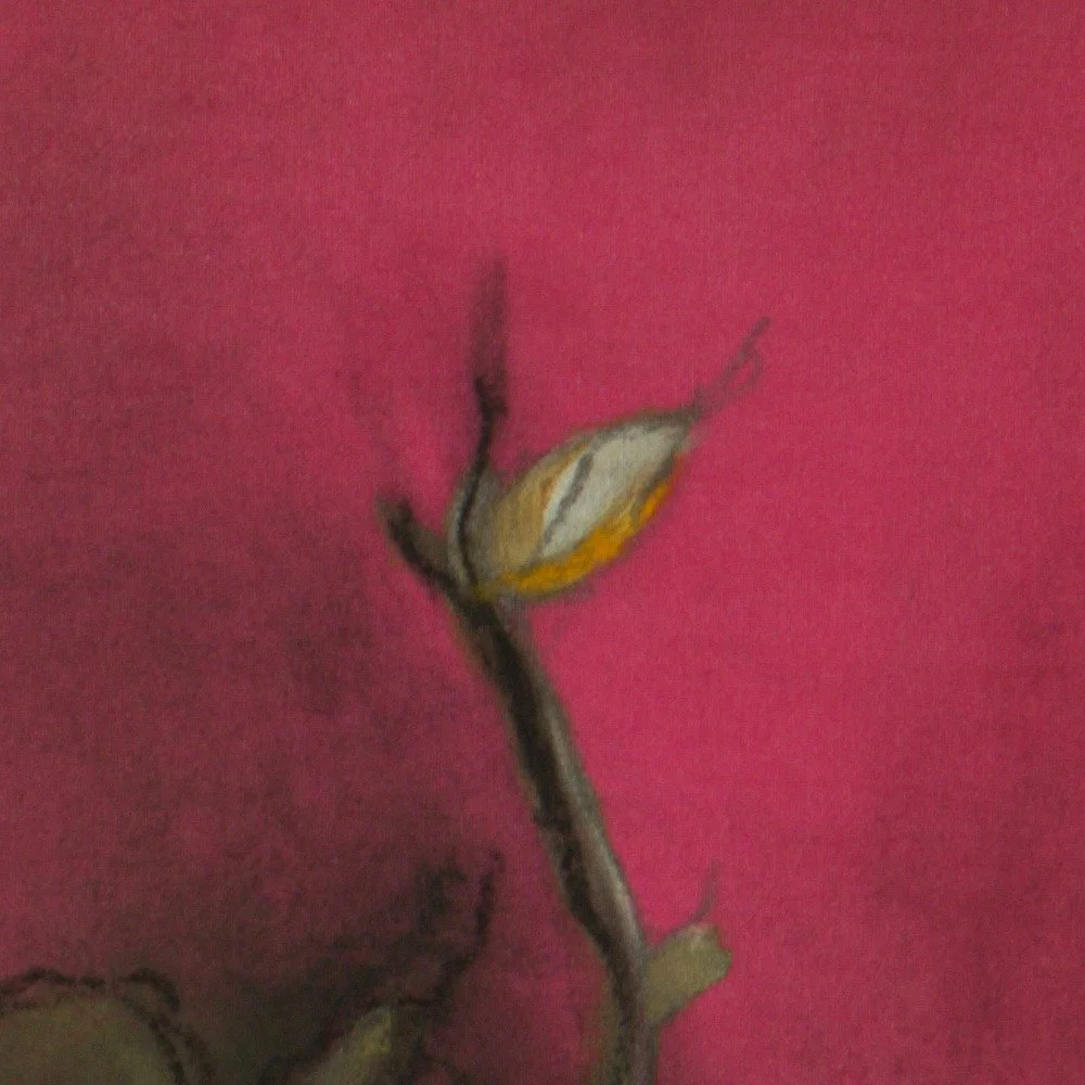 KamiMadArt_2026-002_Pink-3-Mangos-with-Glow_CLOSEUP_bud-and-stem.jpg