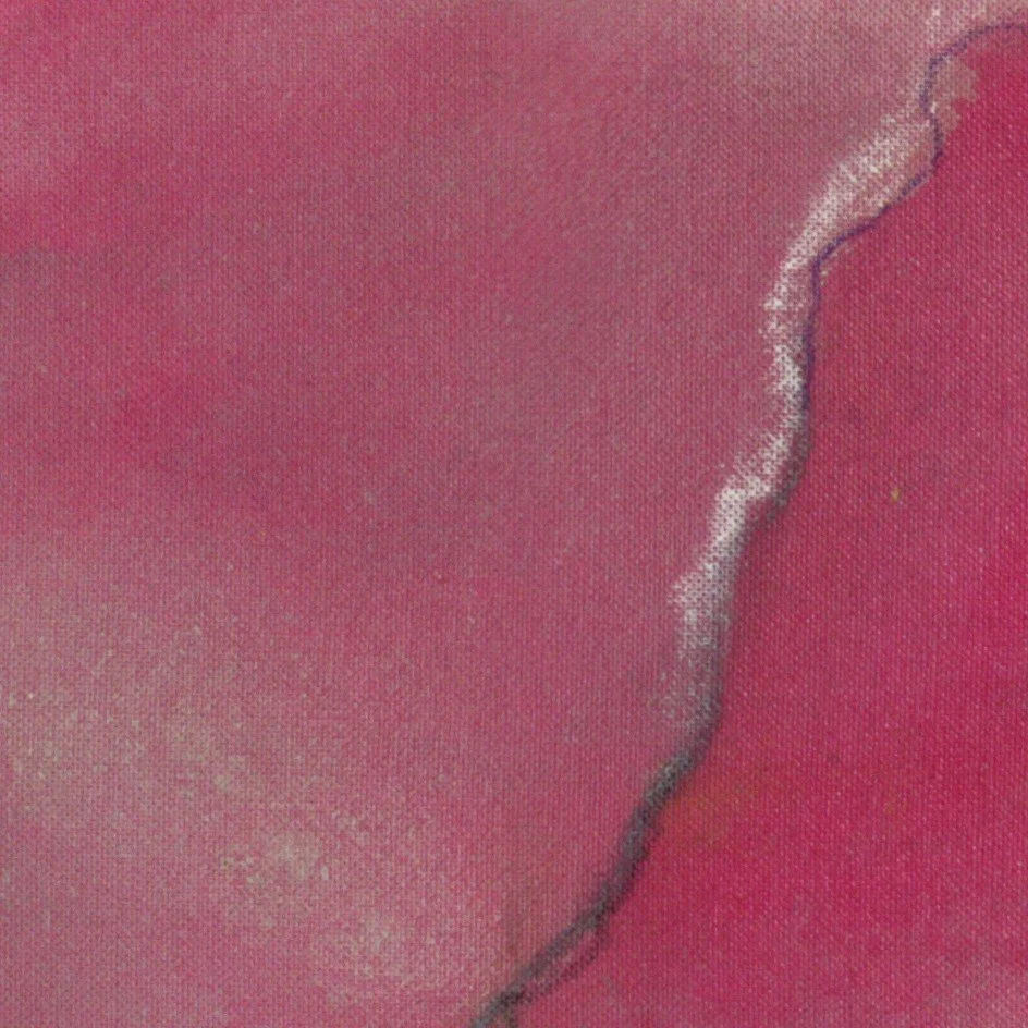 KamiMadArt_2026-008_Different-Kind-of-Bloom-3_CLOSEUP_pink-veil.jpg