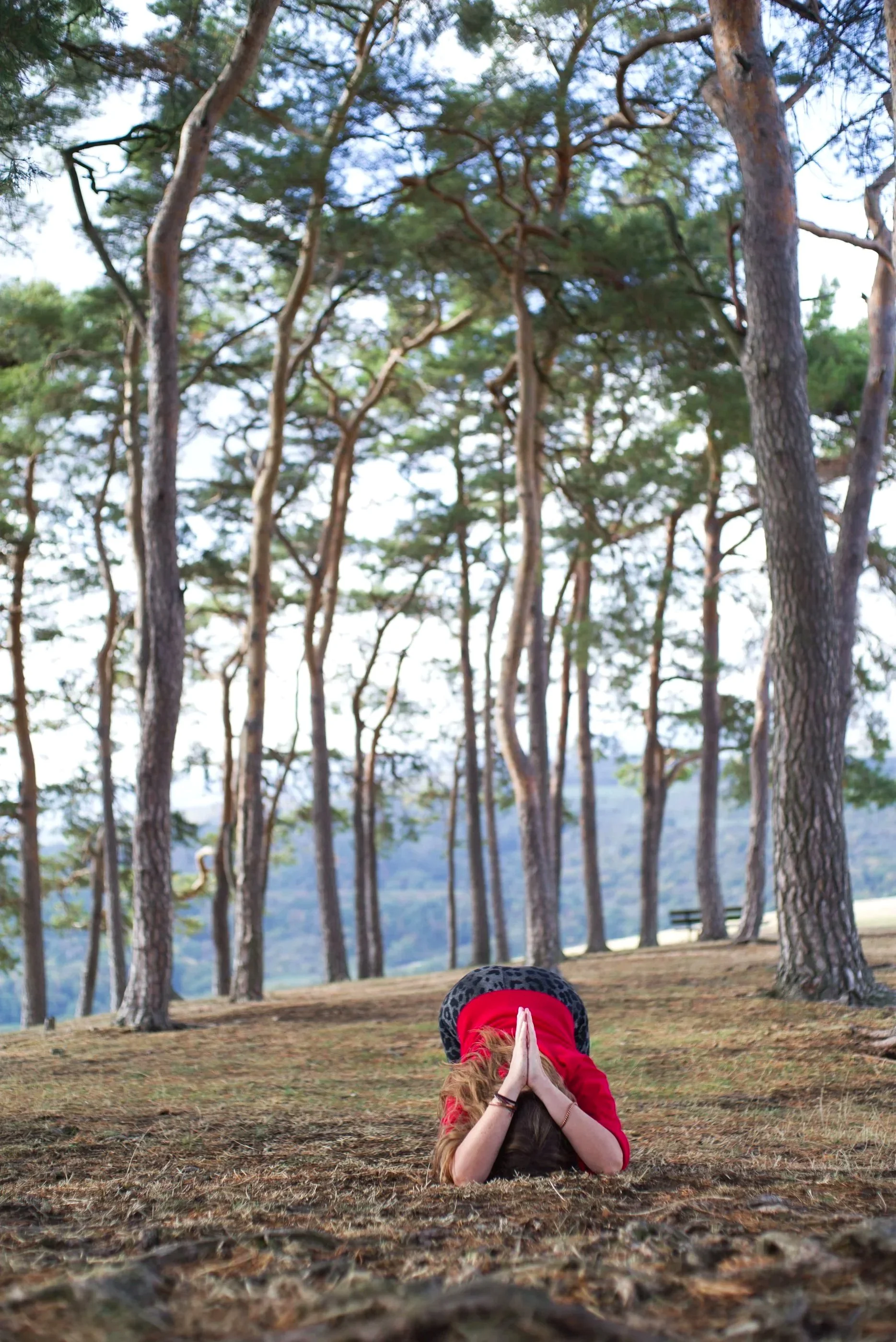 Eine Frau mit einem roten Pullover macht eine YOgaposition auf der Erde. Sie legt ihren Kopf auf die Erde und hält ihre Hände in einer Gebetsposition über dem Kopf. Neben ihr sieht man Bäume