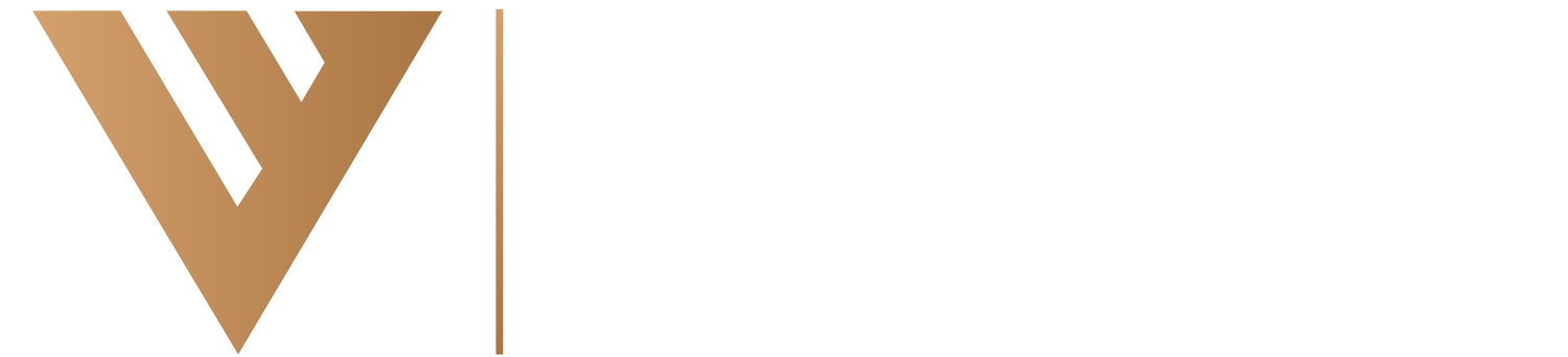 Vigil Electronics