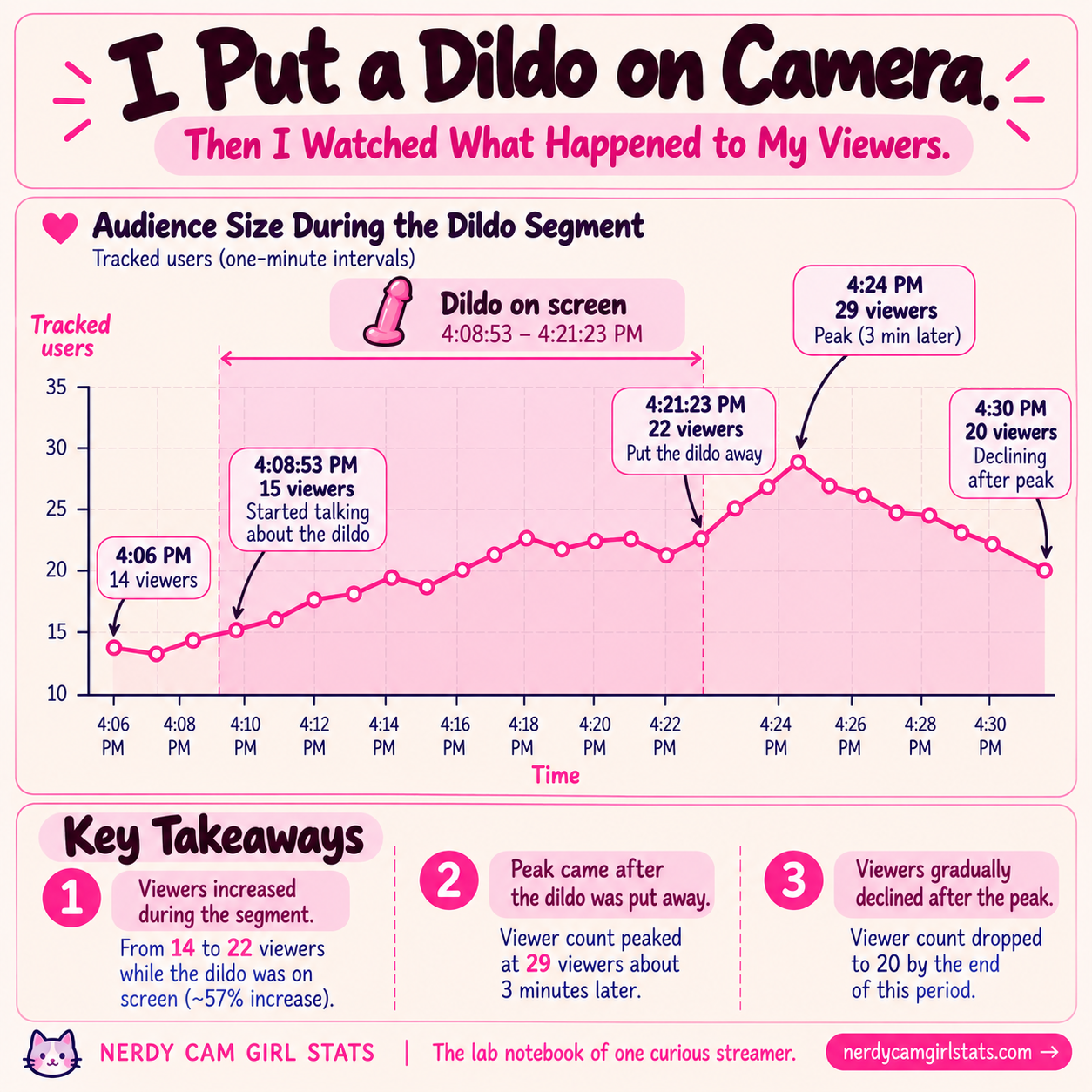 I Put a Dildo on Camera for 12 Minutes. Then I Watched What Happened to My Viewers.