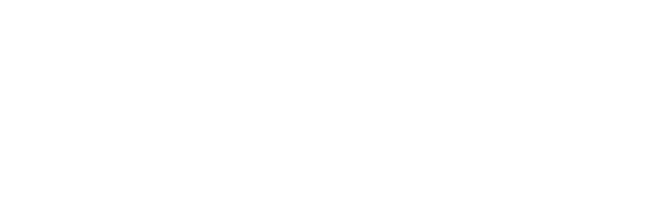 Instagram Followers.png