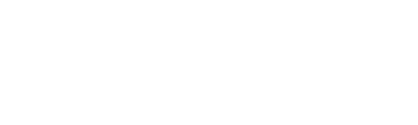Ticktok Followers.png