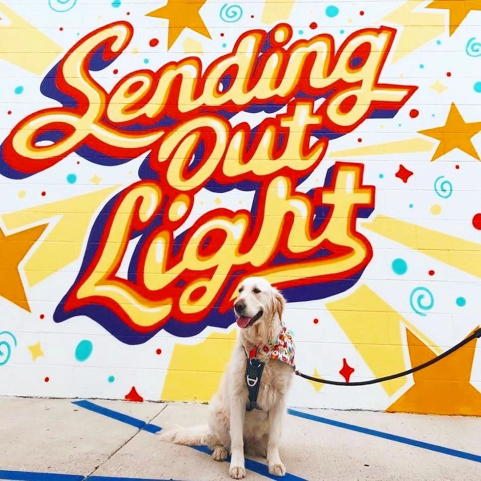 Golden retriever sitting in front of a colorful mural with the text 'Sending Out Light' and star illustrations.