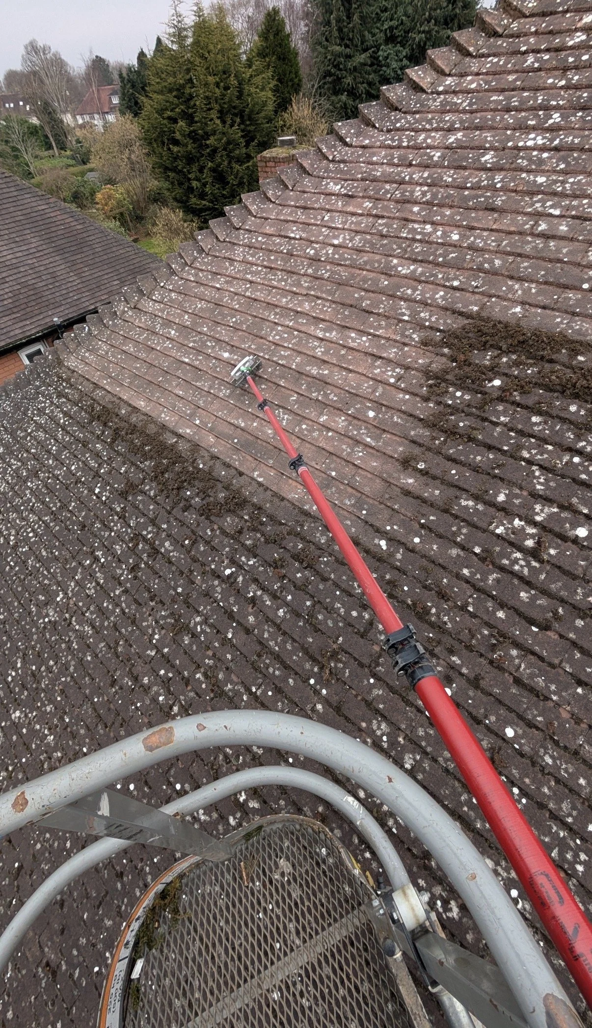 Roof Cleaning