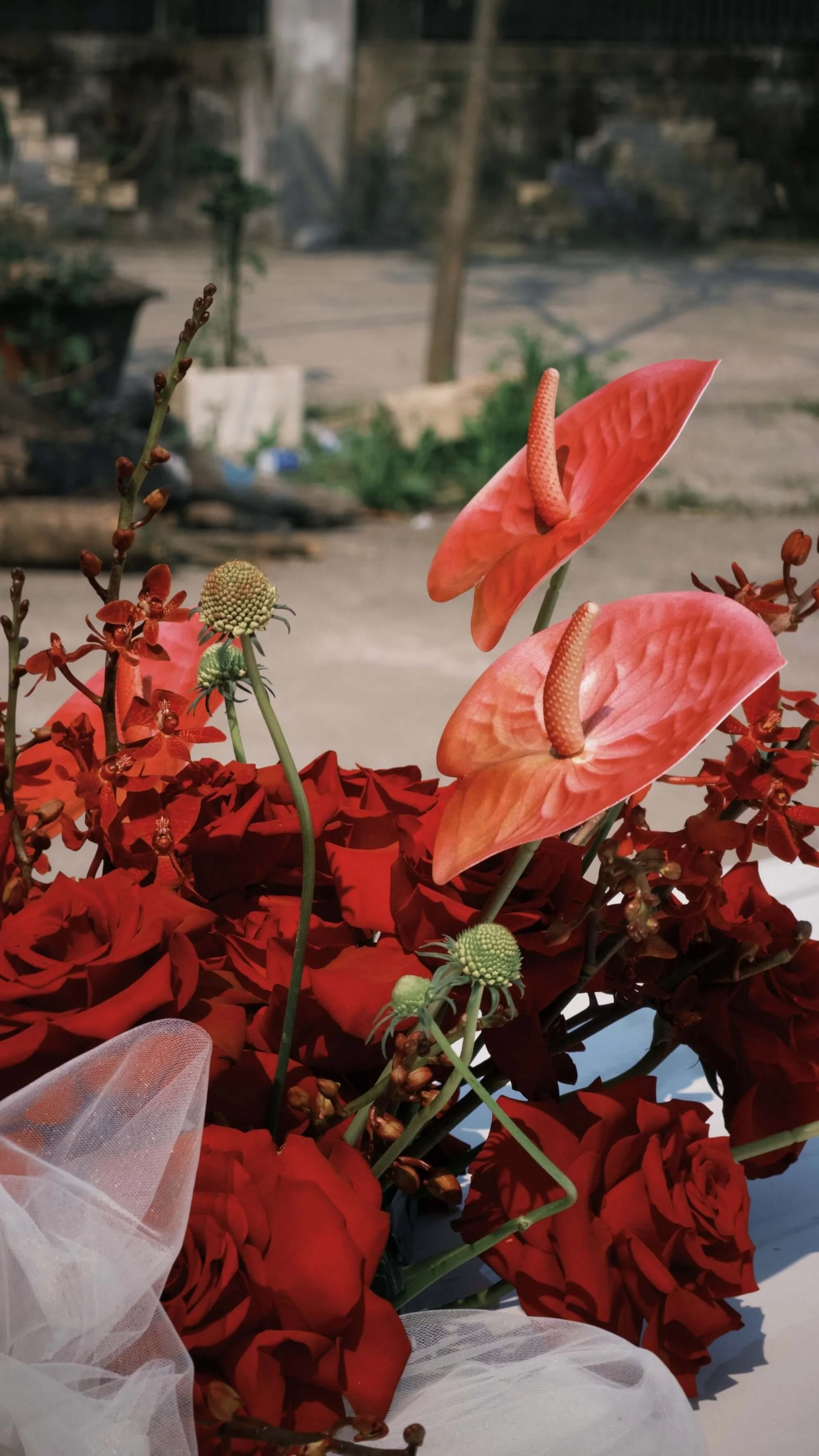 A floral arrangement with orange anthuriums and red flowers, with some green buds and white fabric at the bottom, set outdoors with trees and a street in the background.