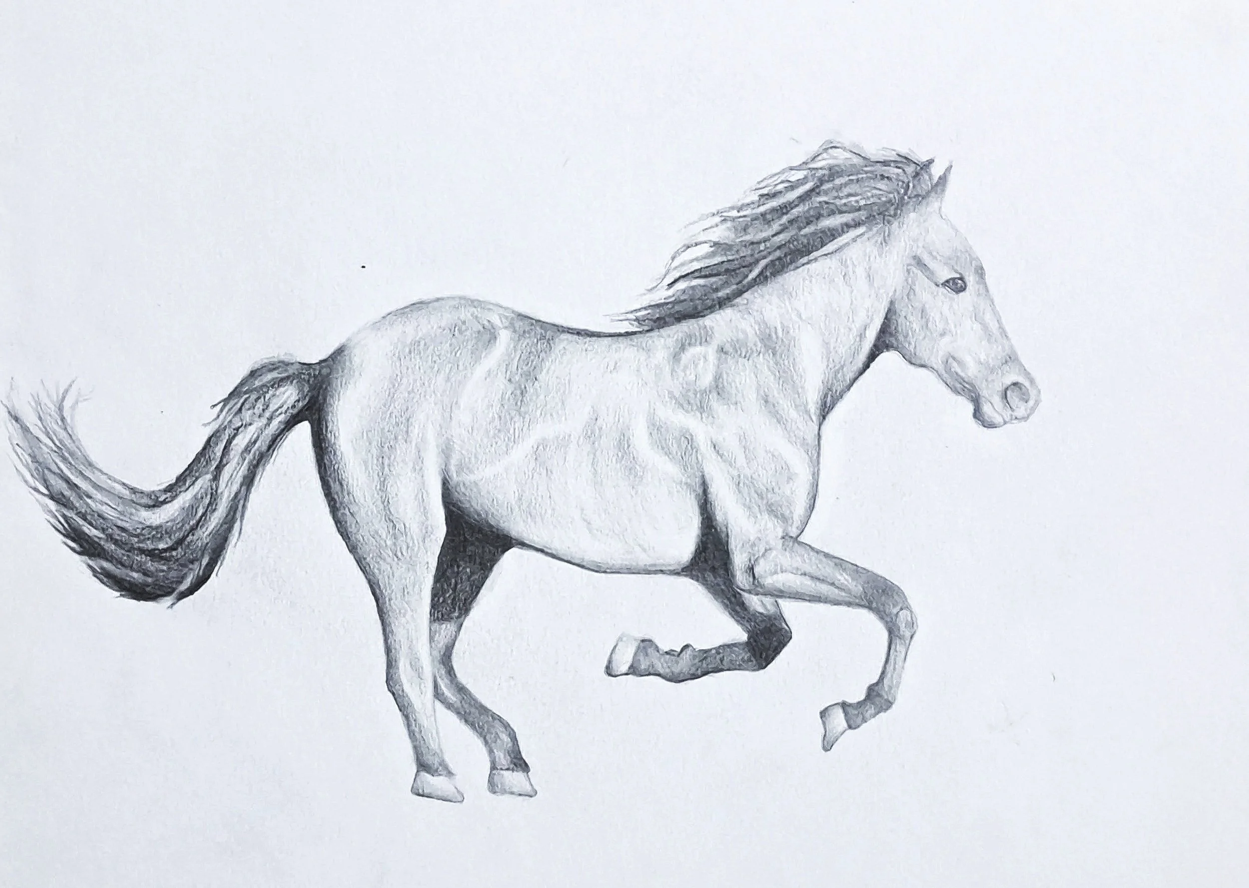 Title: Horse
Date: December, 2023
Medium: Graphite
Dimensions: 21 x 29,7cm