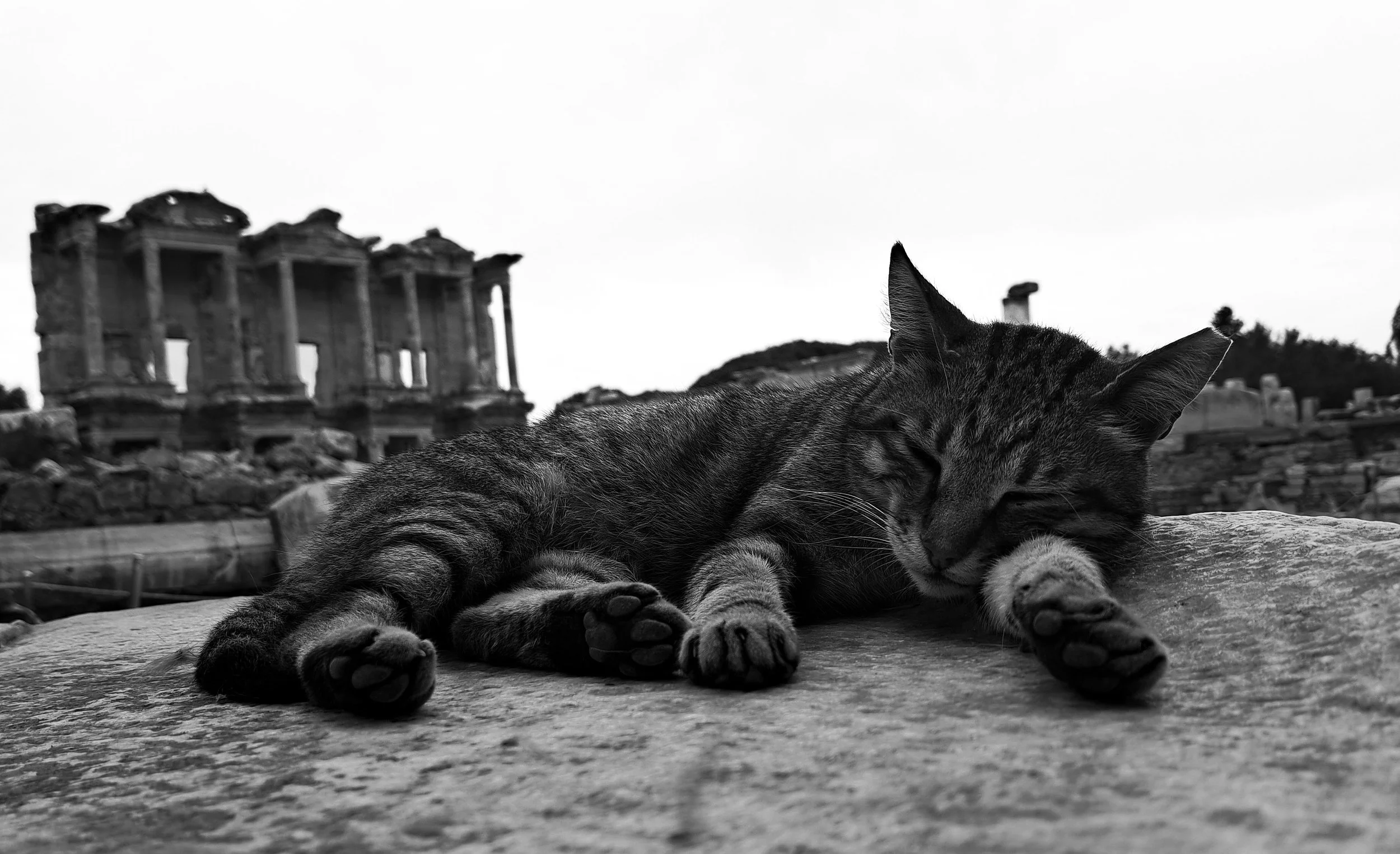 Indifference in Essence